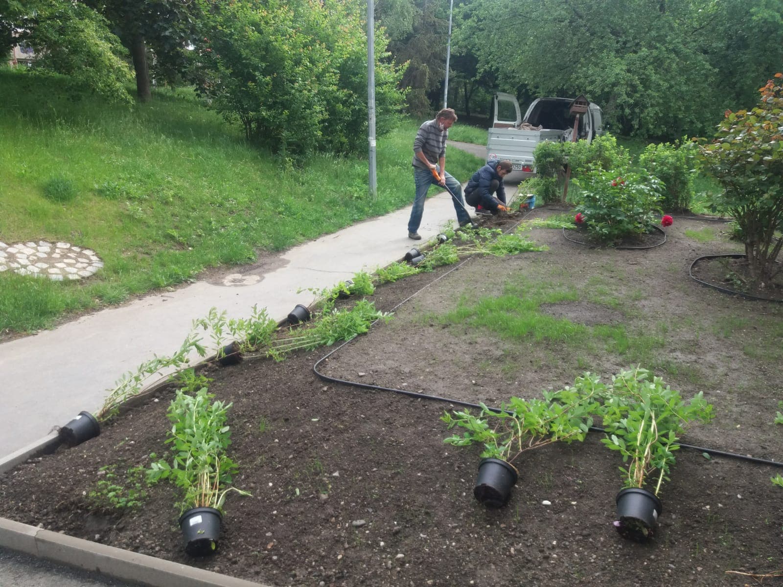 Zahradní práce Munzar foto 5