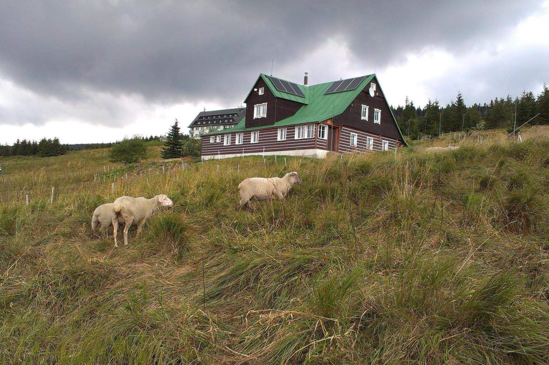 Bouda Matouš - Friesovy boudy