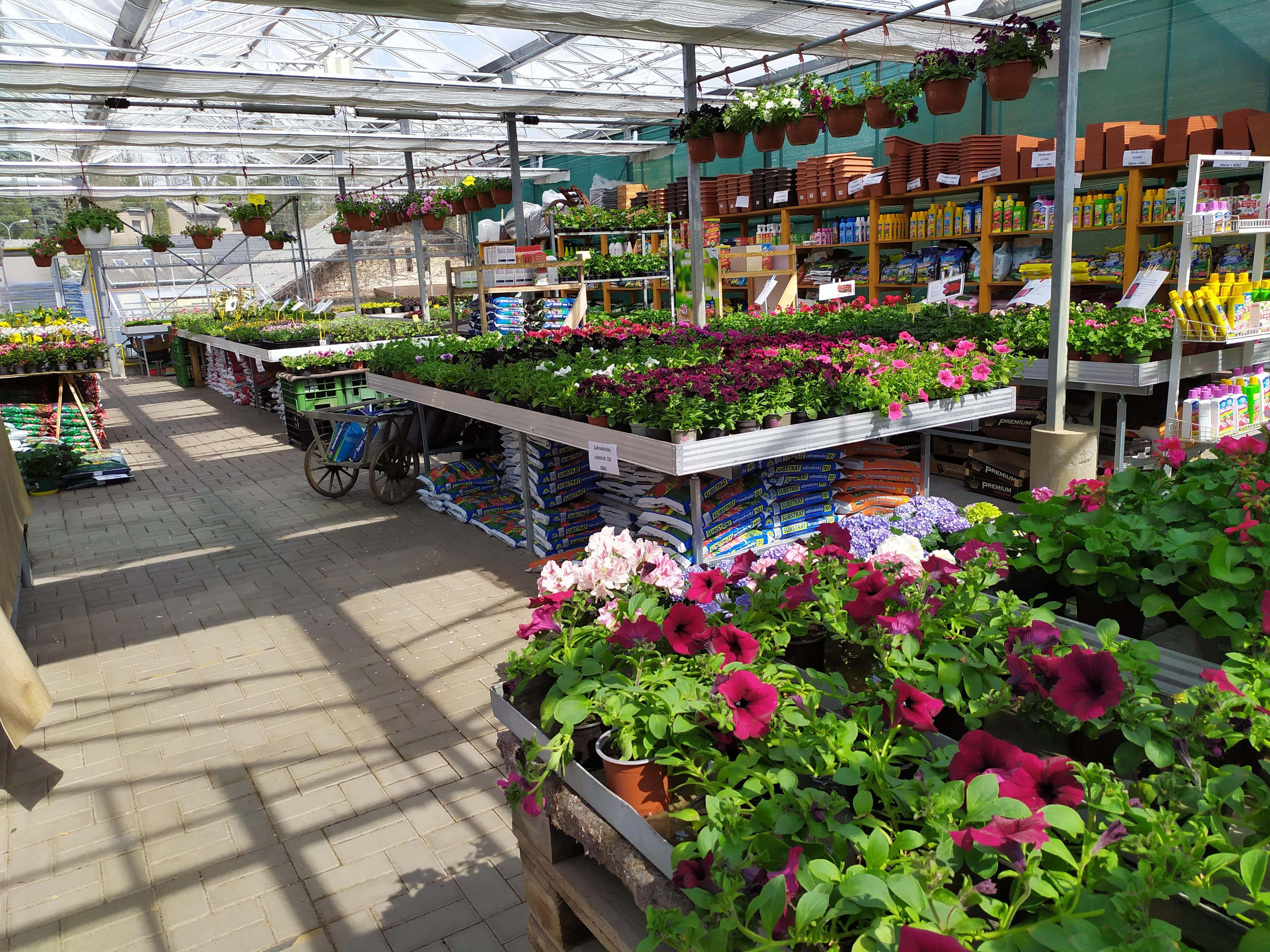 Zahradnictví Kašpar foto 3