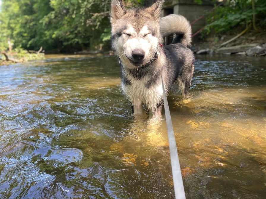 Chlupatá dovolená - Jan Kuča foto 5