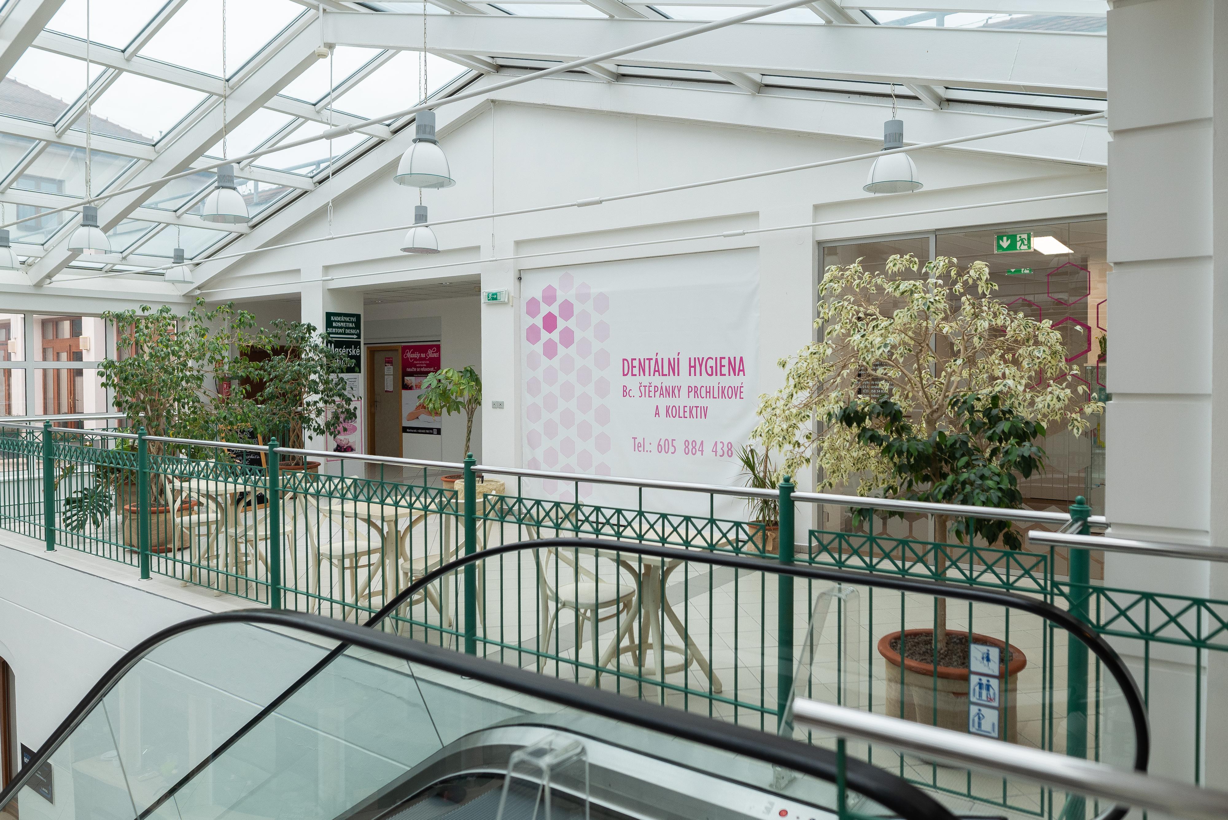 Dentální hygienistka Bc. Štěpánka Prchlíková foto 3