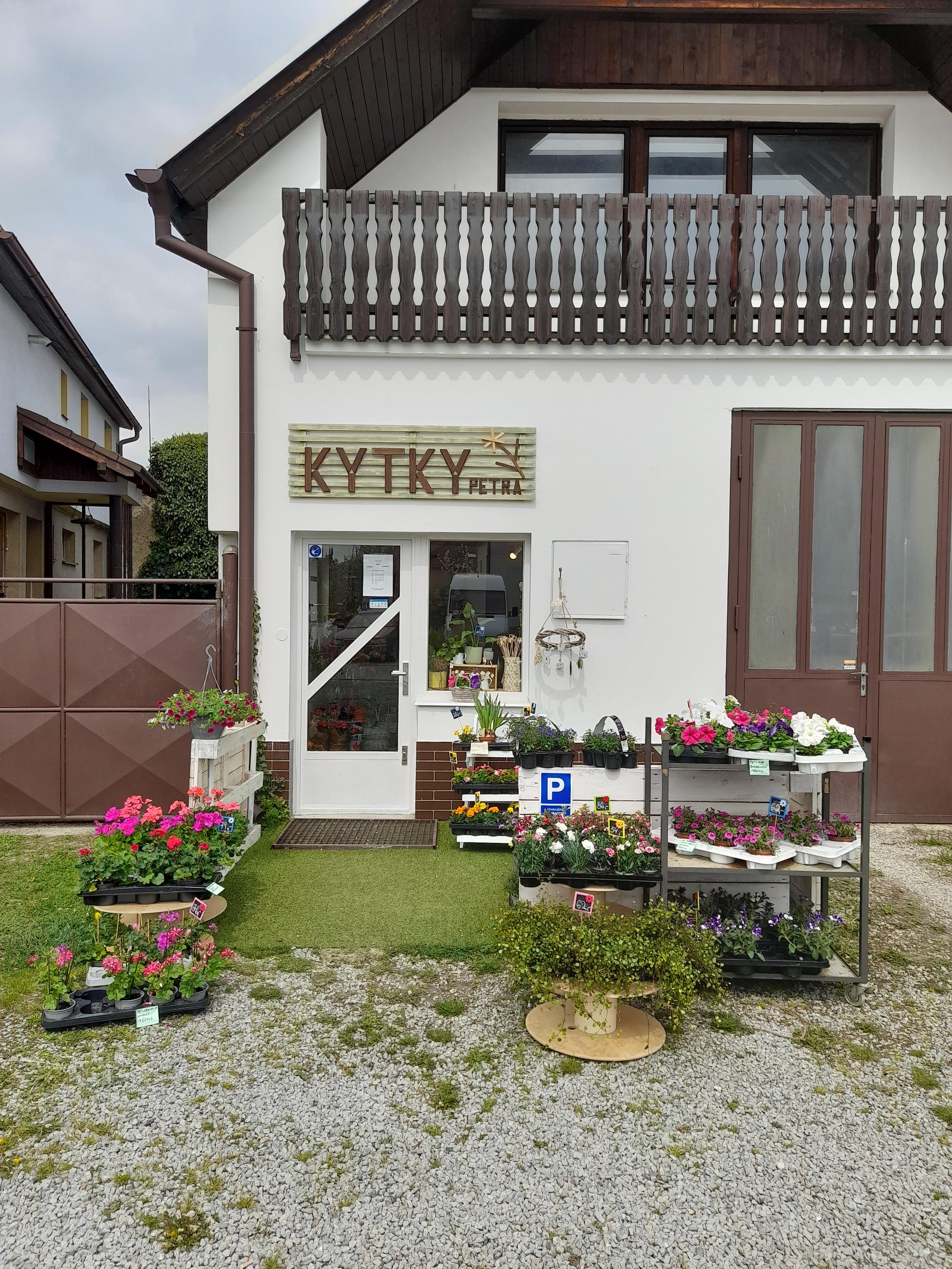 Kytky Petra foto 2