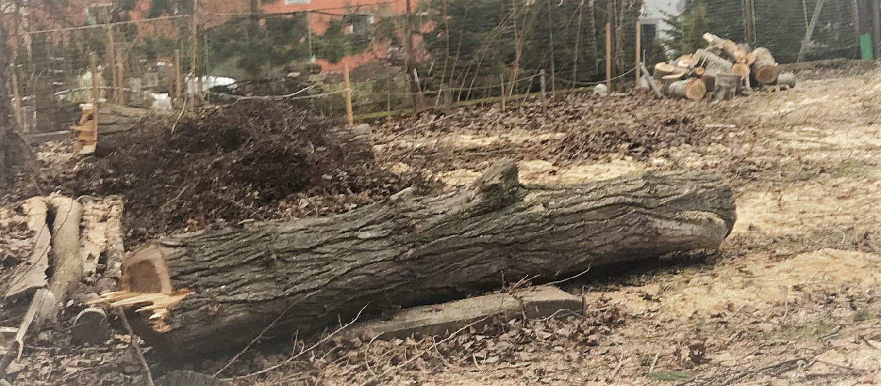 Eco-optima spol. s r.o. foto 3