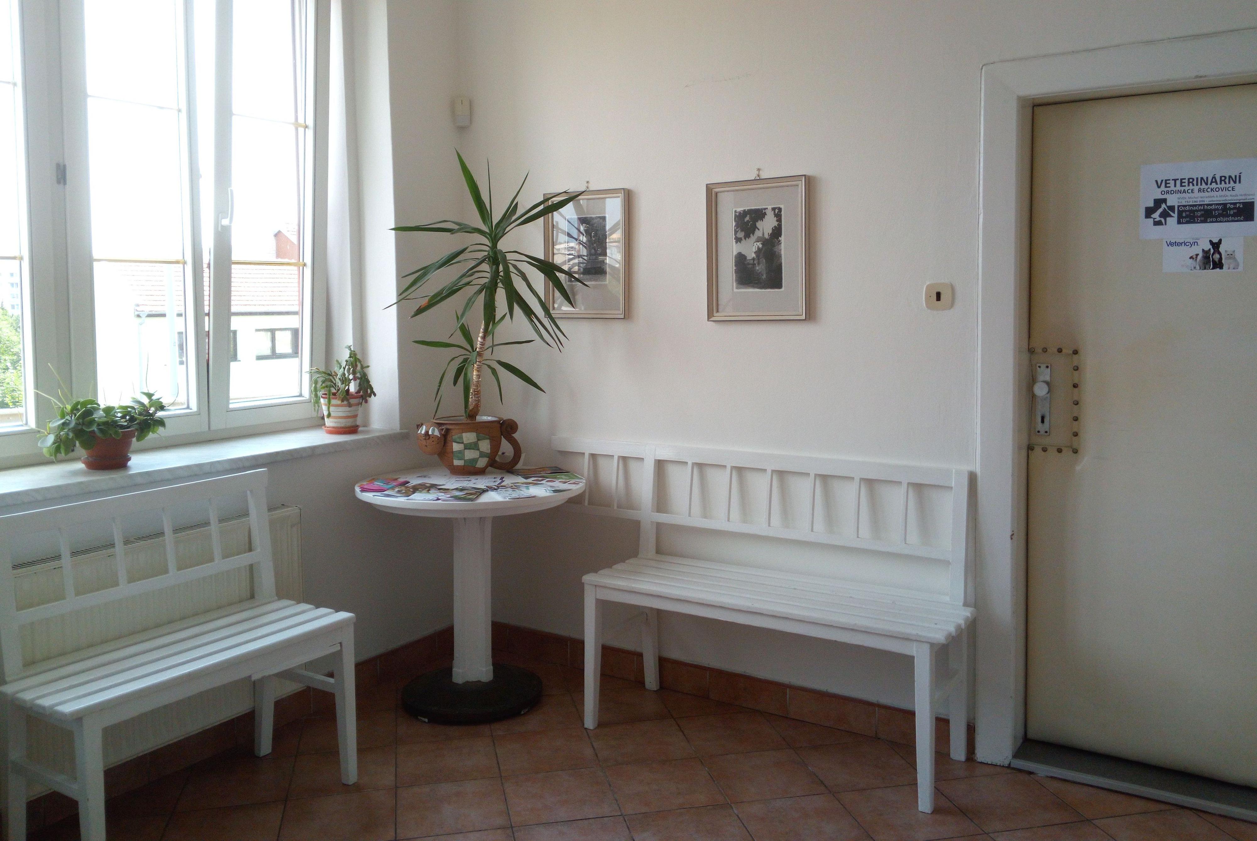 Veterinární ordinace Řečkovice foto 3