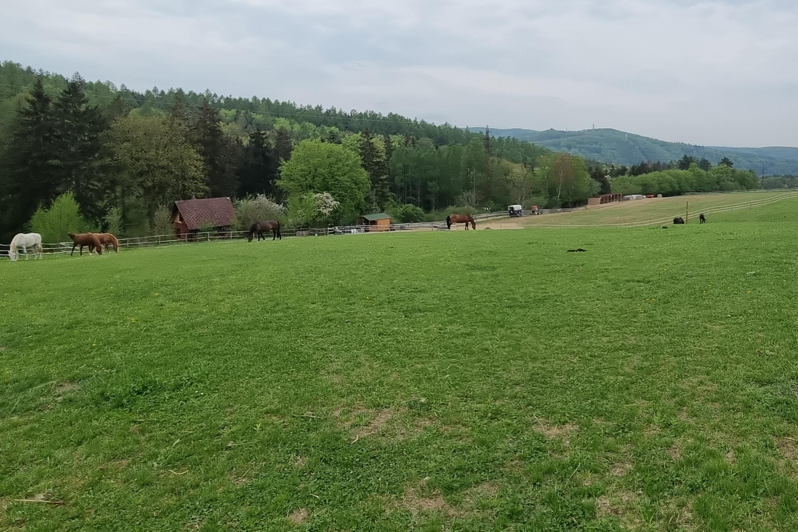 Klub radosti na Závisti