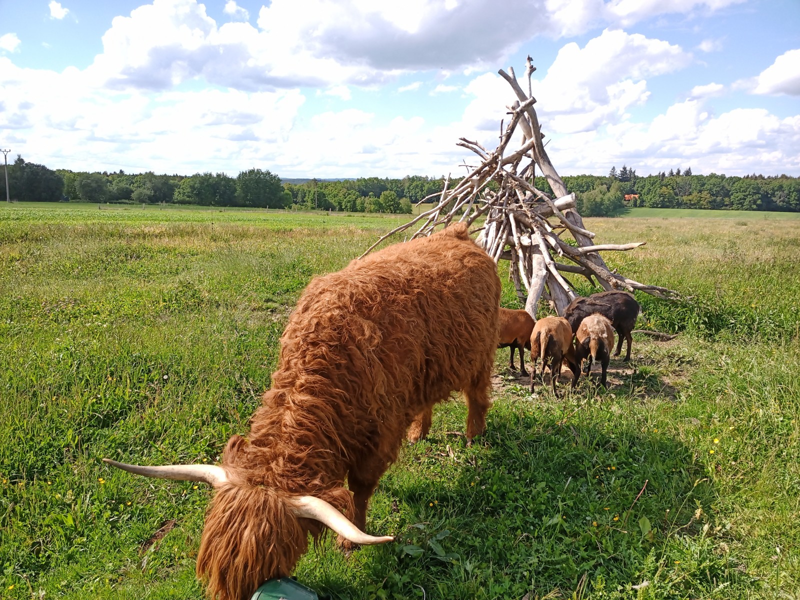 Srub U Holubů foto 2