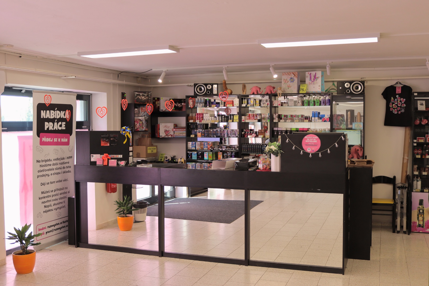 RůžovýSlon.cz foto 3