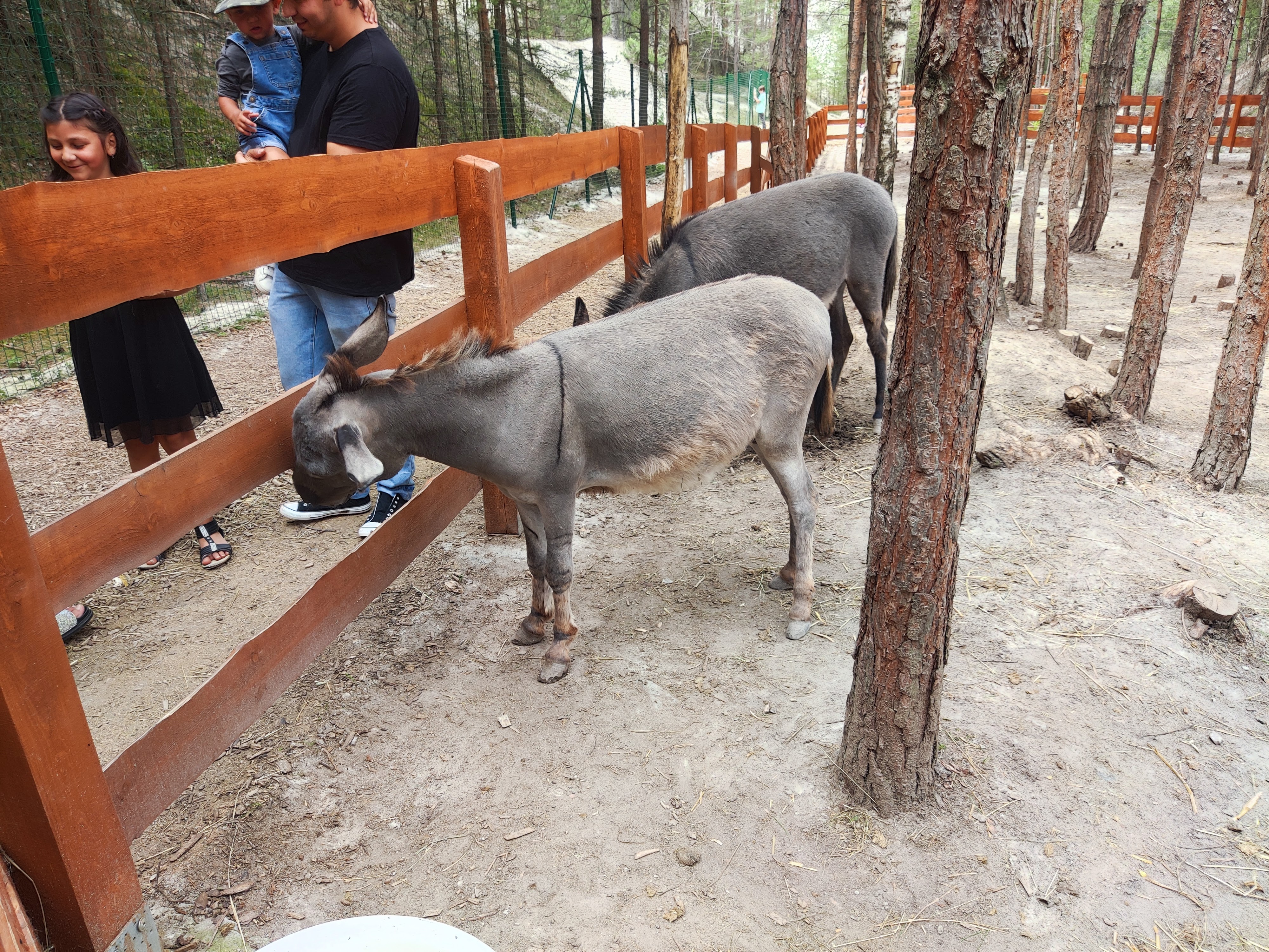 Farmapark u Toma foto 6