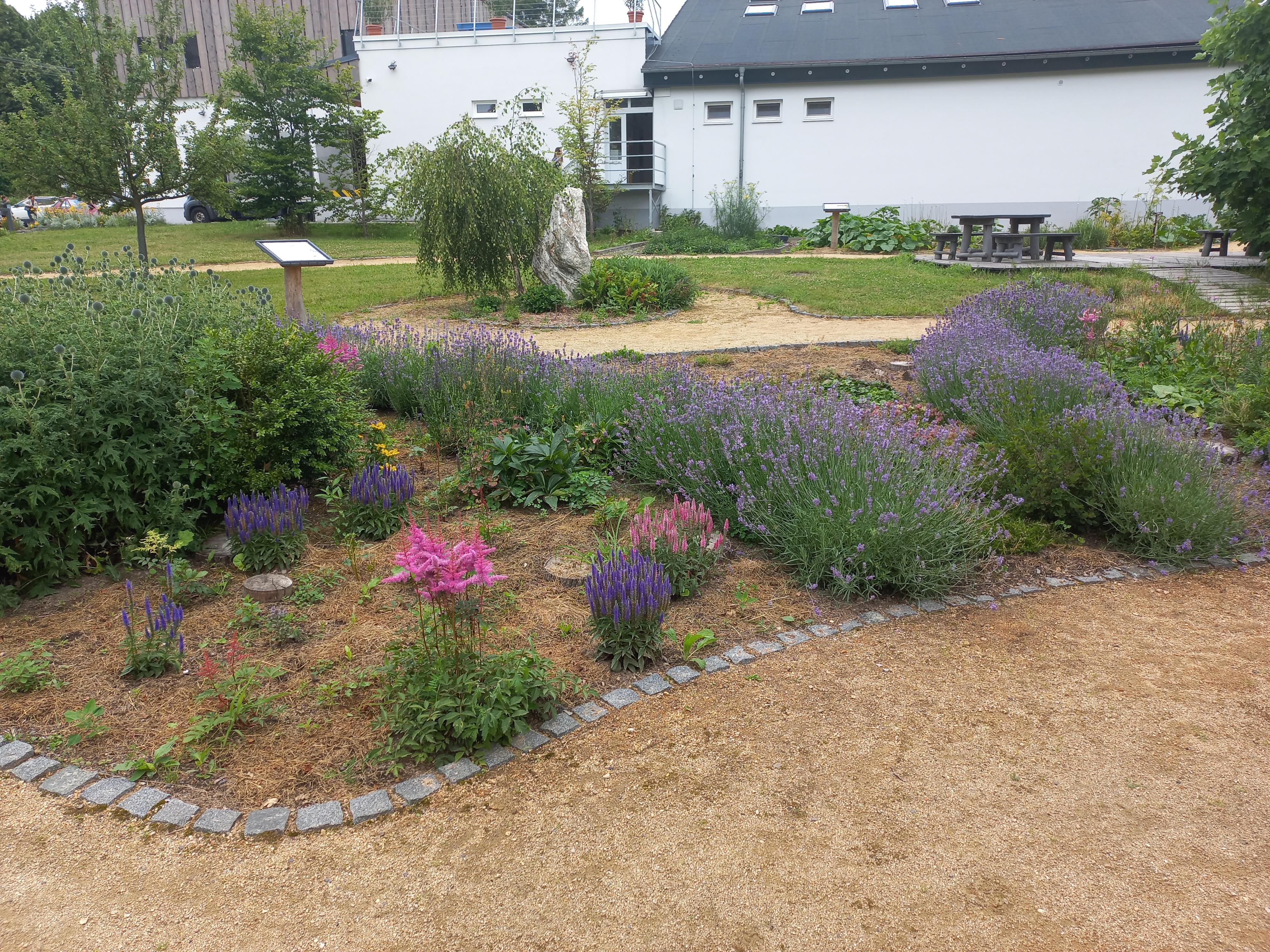 Prodejna Nobilis Tilia Vlčí Hora foto 4