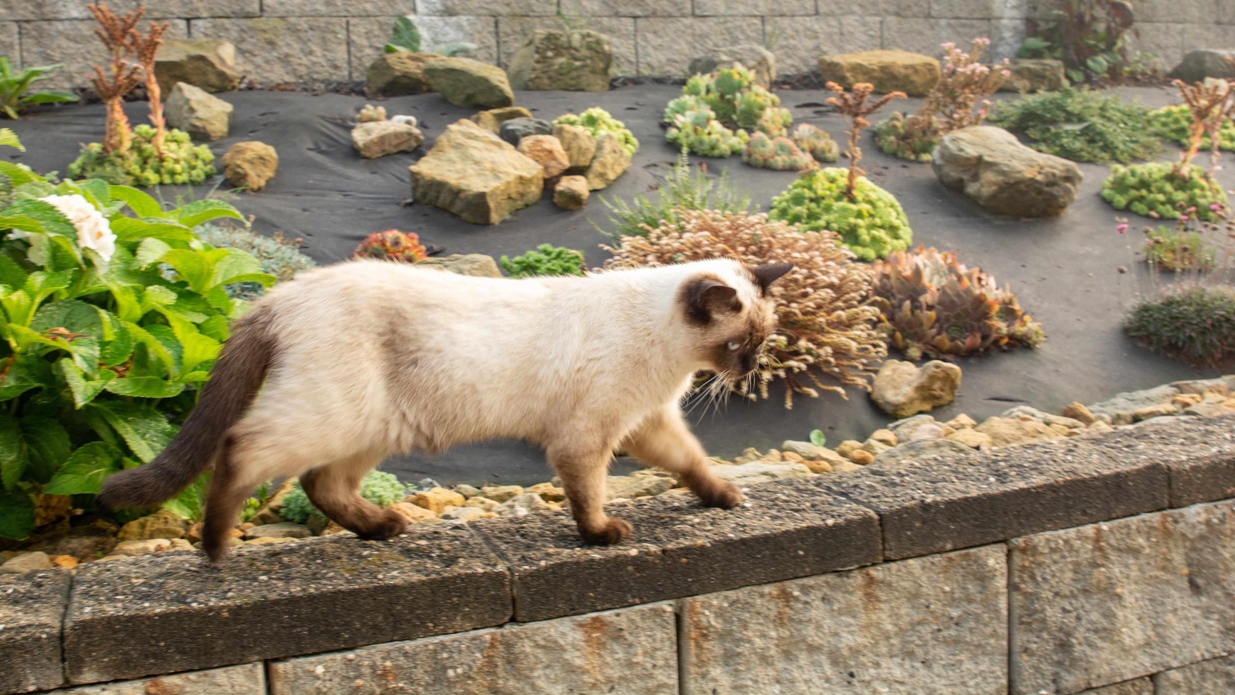 Penzion Trixi's foto 6