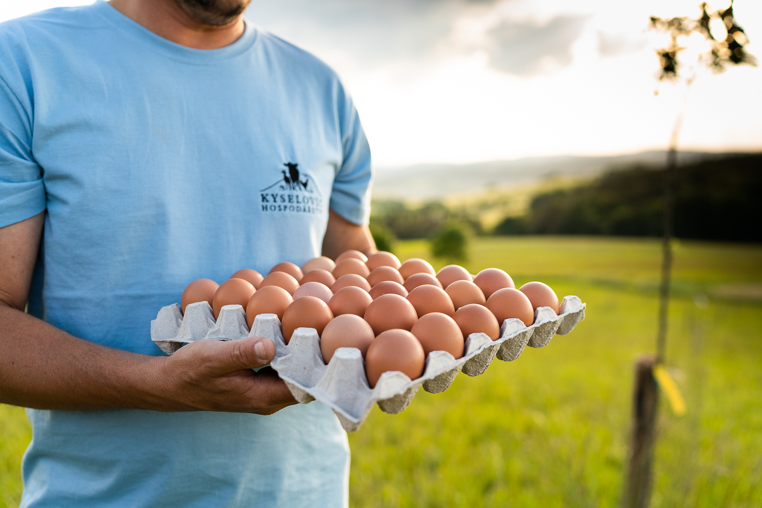 Kyselovic hospodářství foto 3