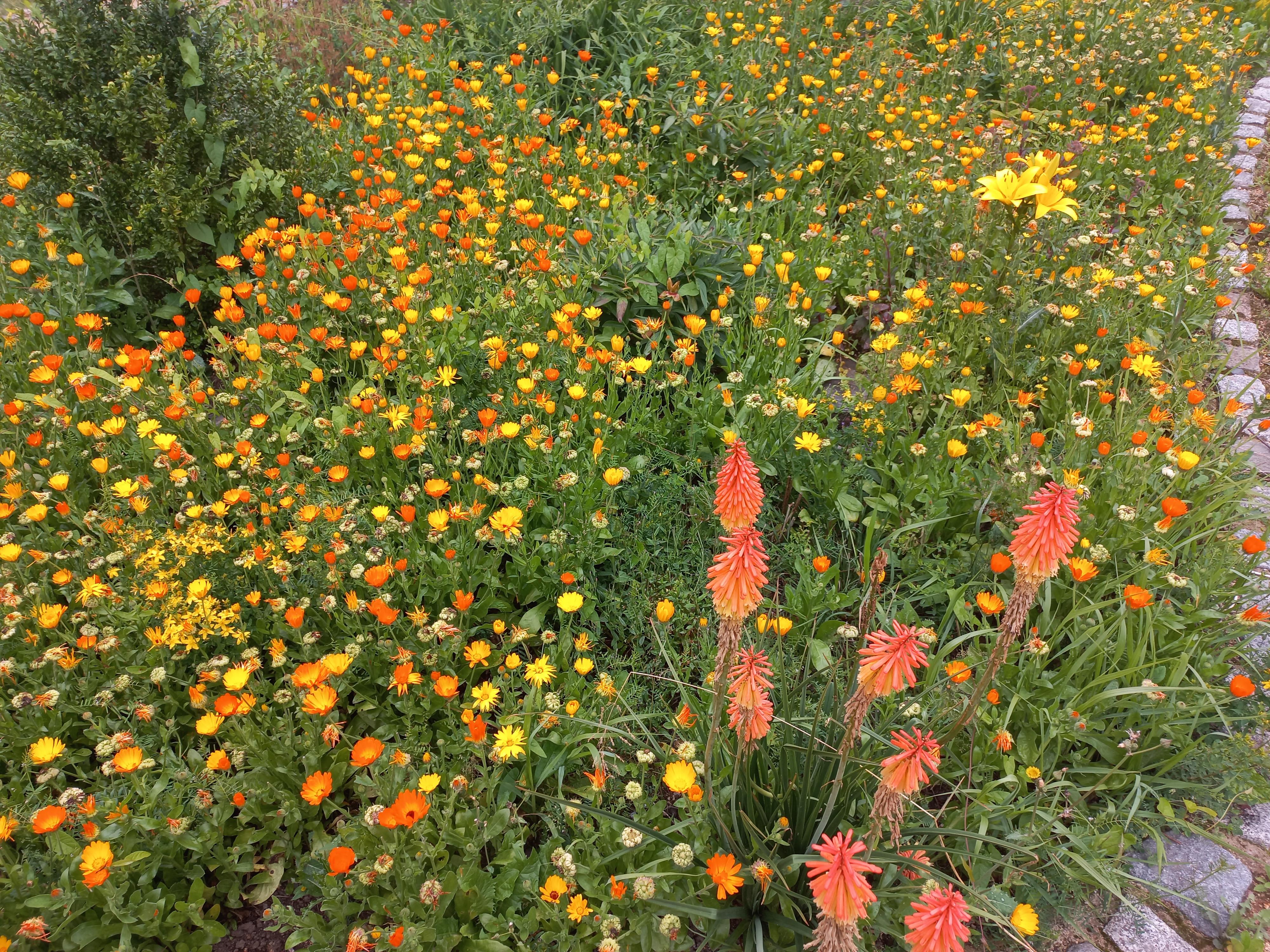 Prodejna Nobilis Tilia Vlčí Hora foto 3