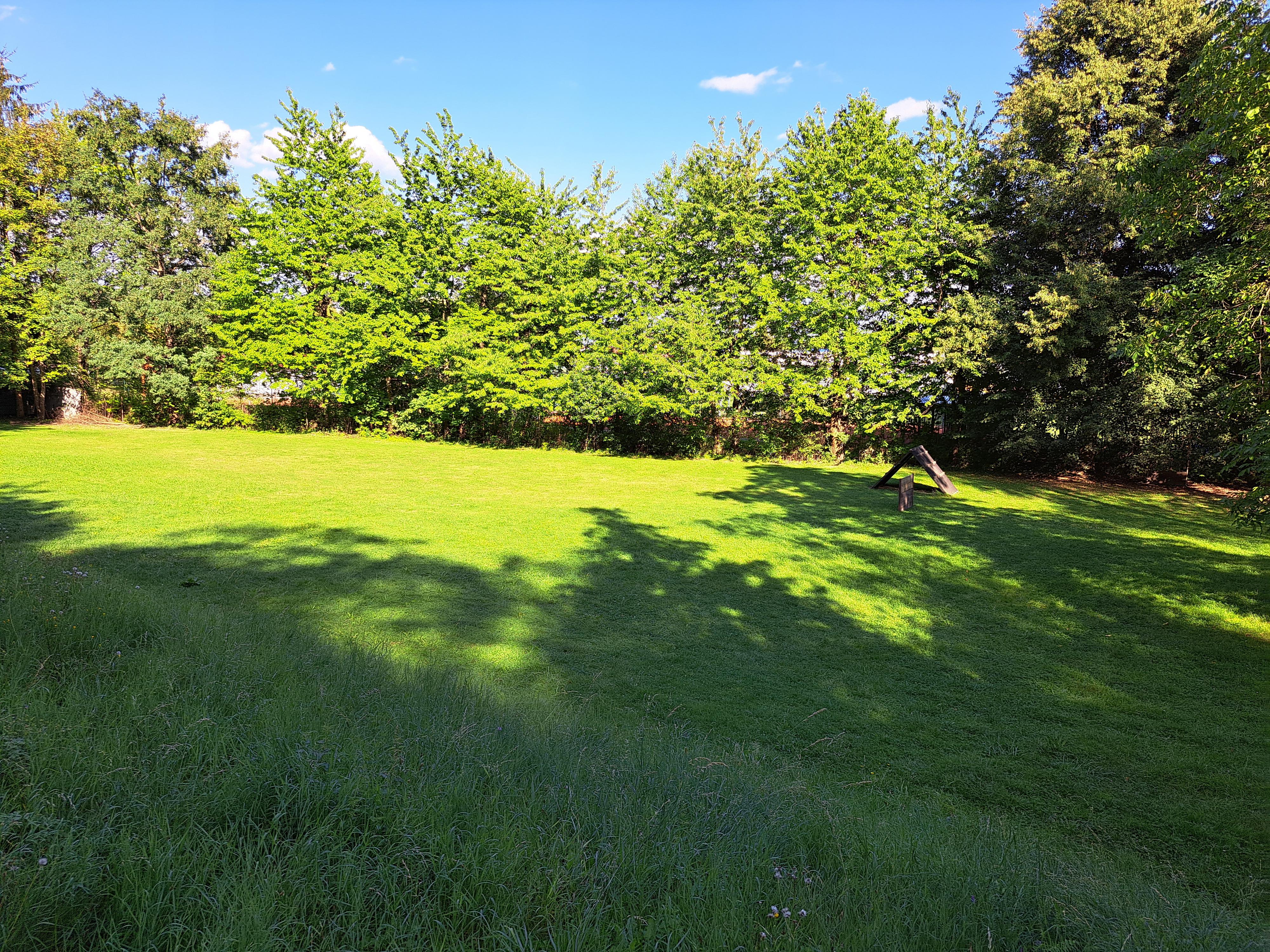 Kynologický klub Velká Bystřice foto 4