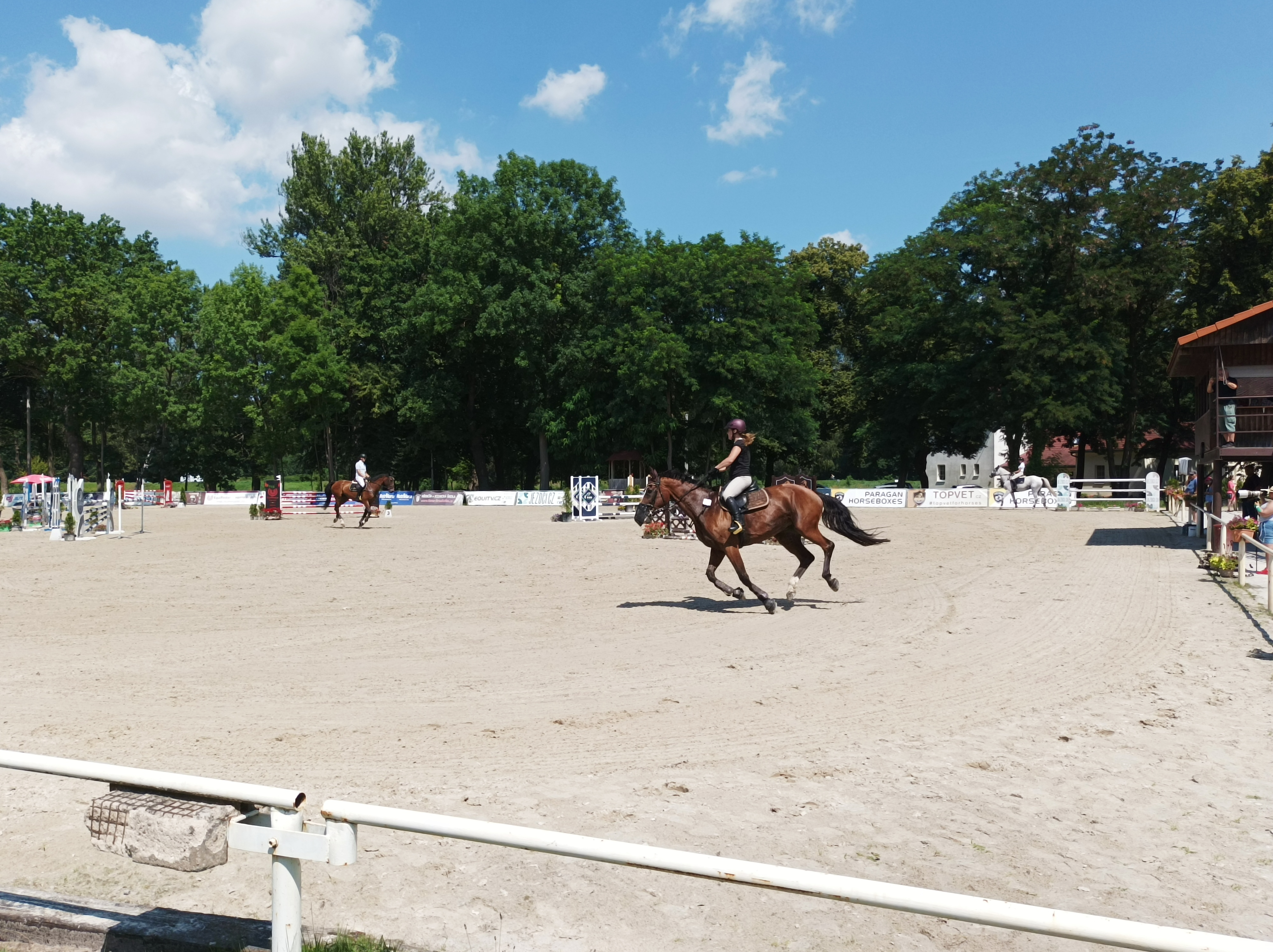 Jezdecká škola Equus Kinsky foto 5