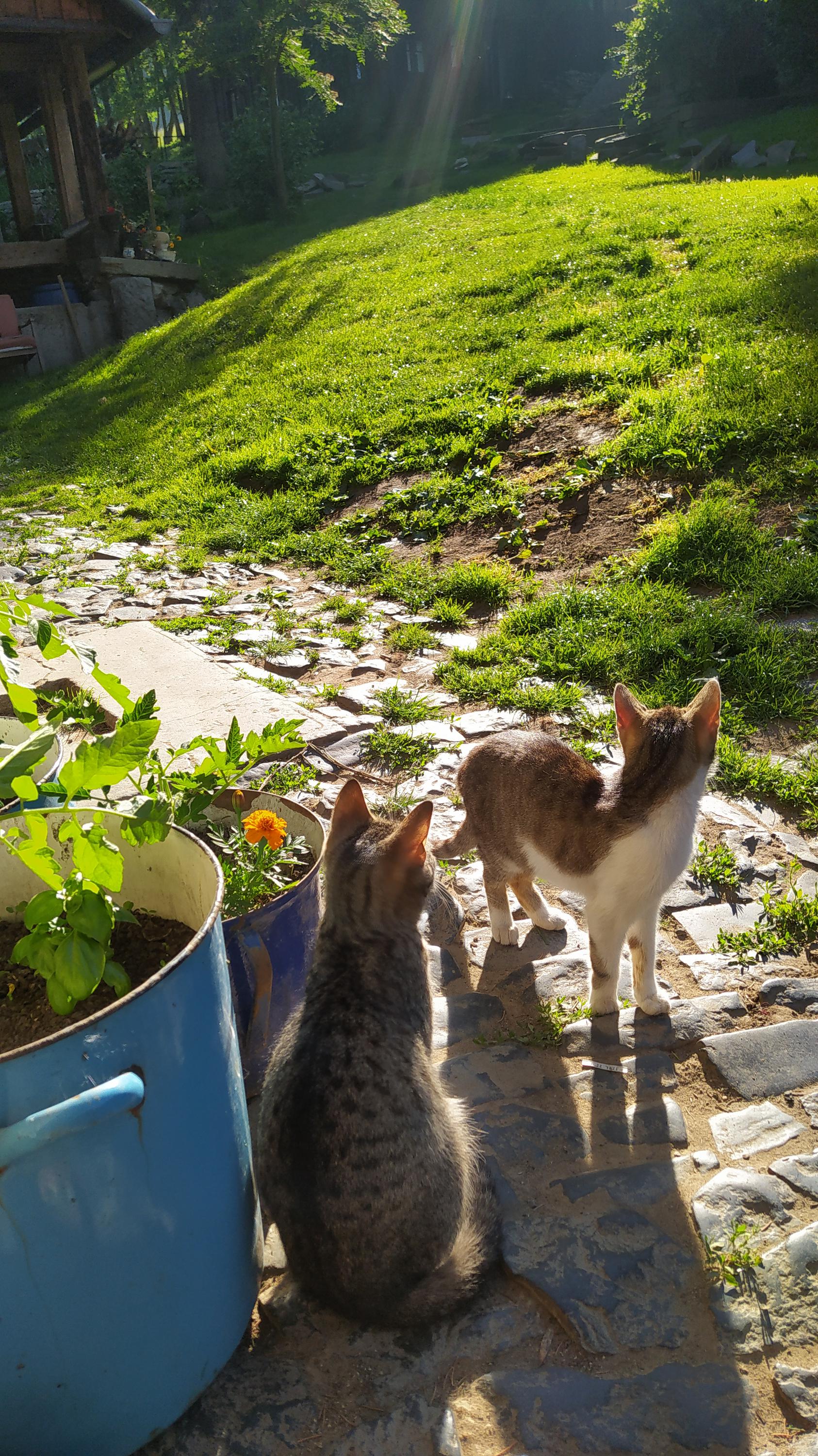 Hospodářství pod Strážným Vrchem foto 4