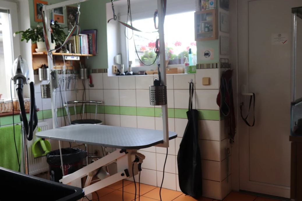 Psí salon - Ludikeys foto 1