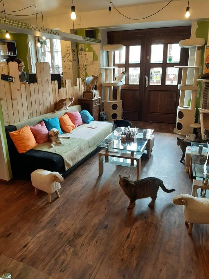 Kitt&Café Toulavý ráj
