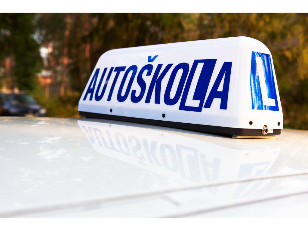 ALFA DRIVING SCHOOL foto 2