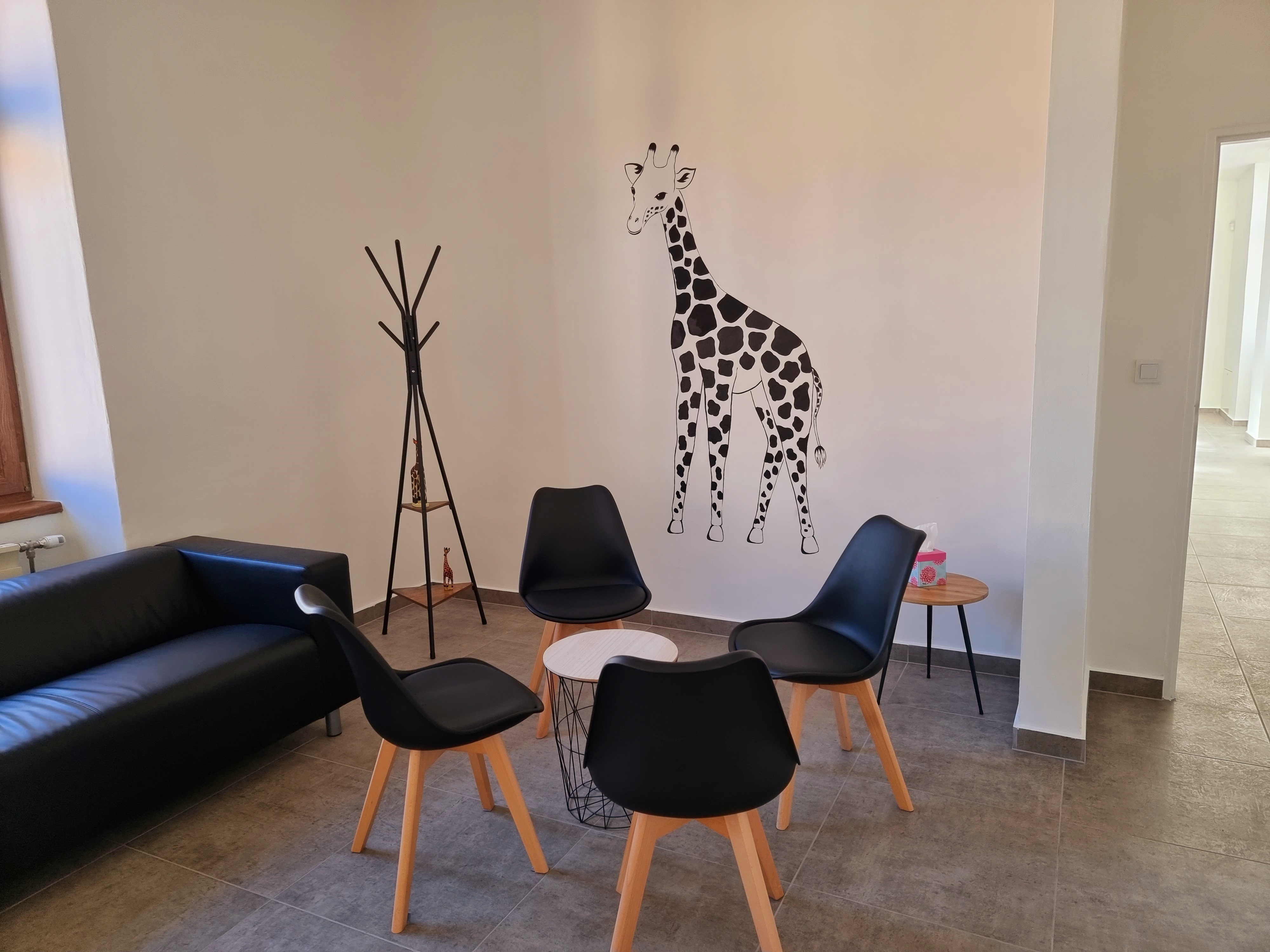 Ortodoncie Orto Giraffe, s.r.o. - MDDr. Hana Čížková foto 3