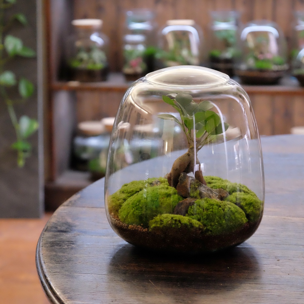 Milujeme mech foto 2