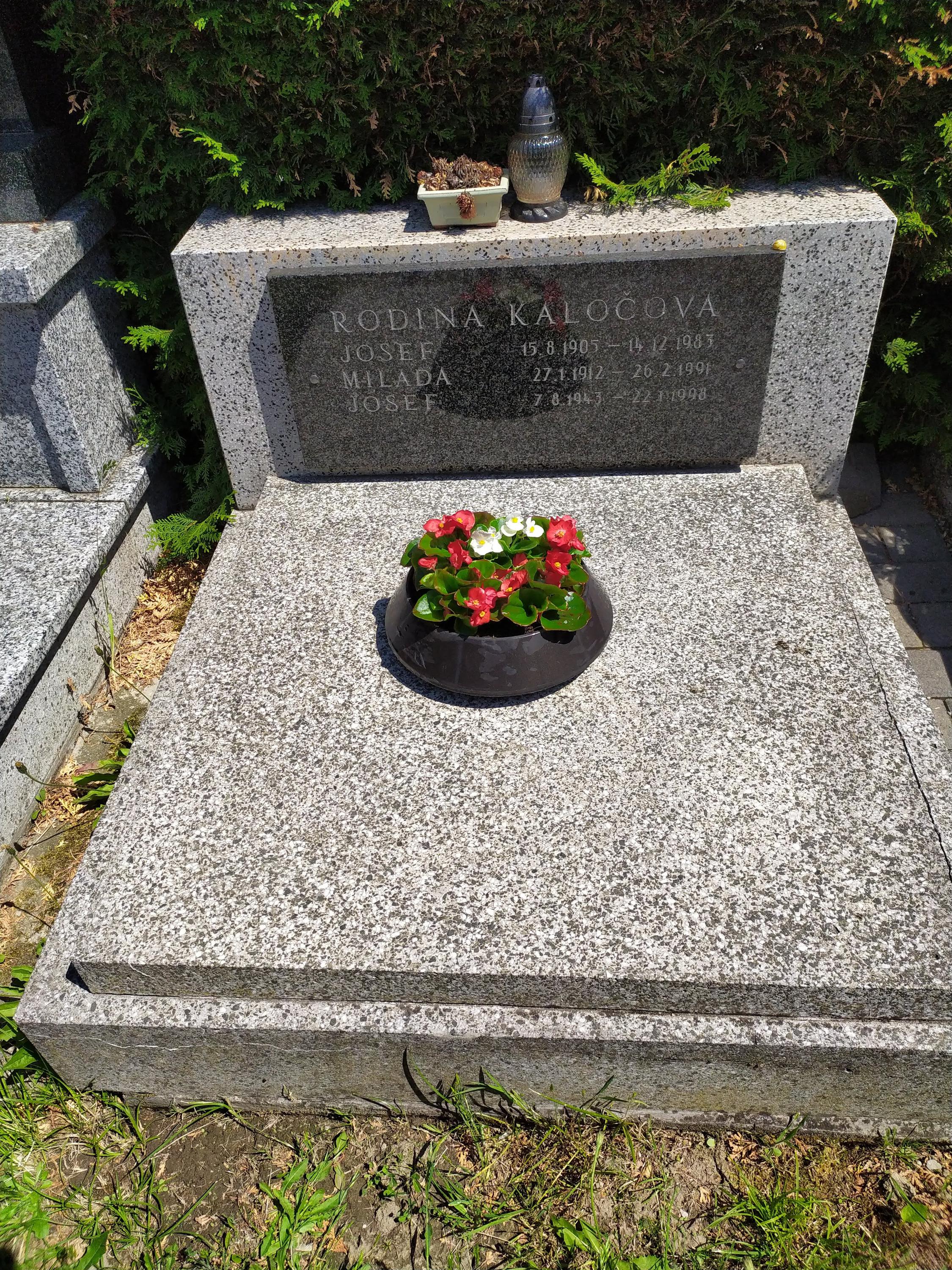 Péče o hroby - Hana Hamrozyová foto 4