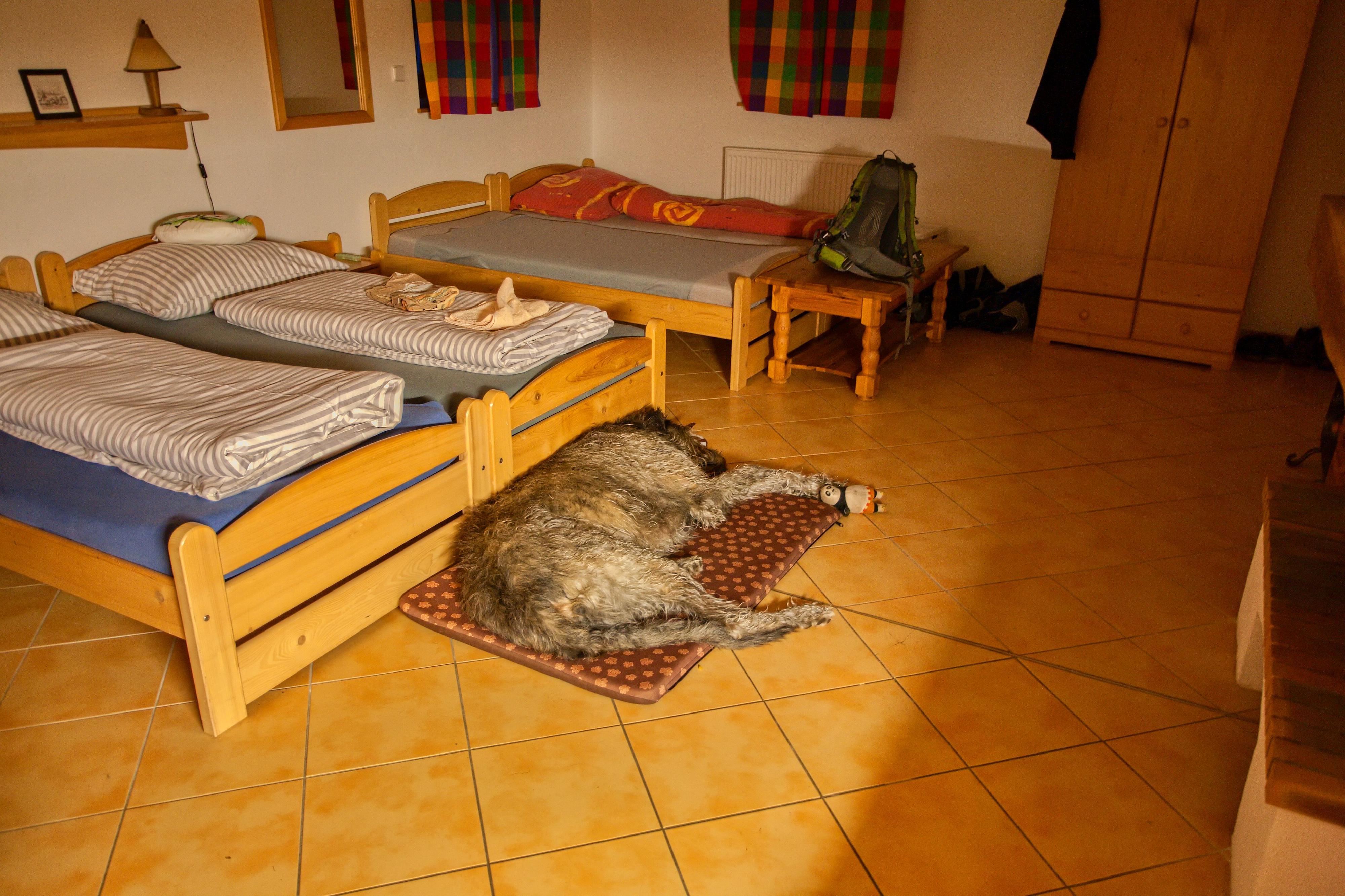 Apartmány Laka foto 6