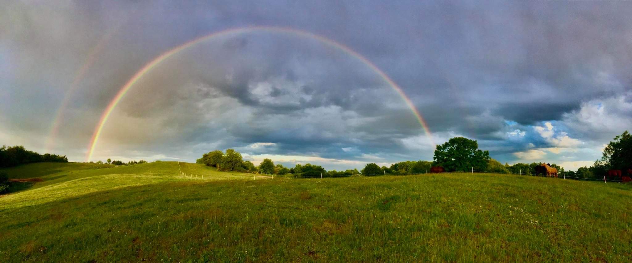 Ustájení Californie & Korado foto 2