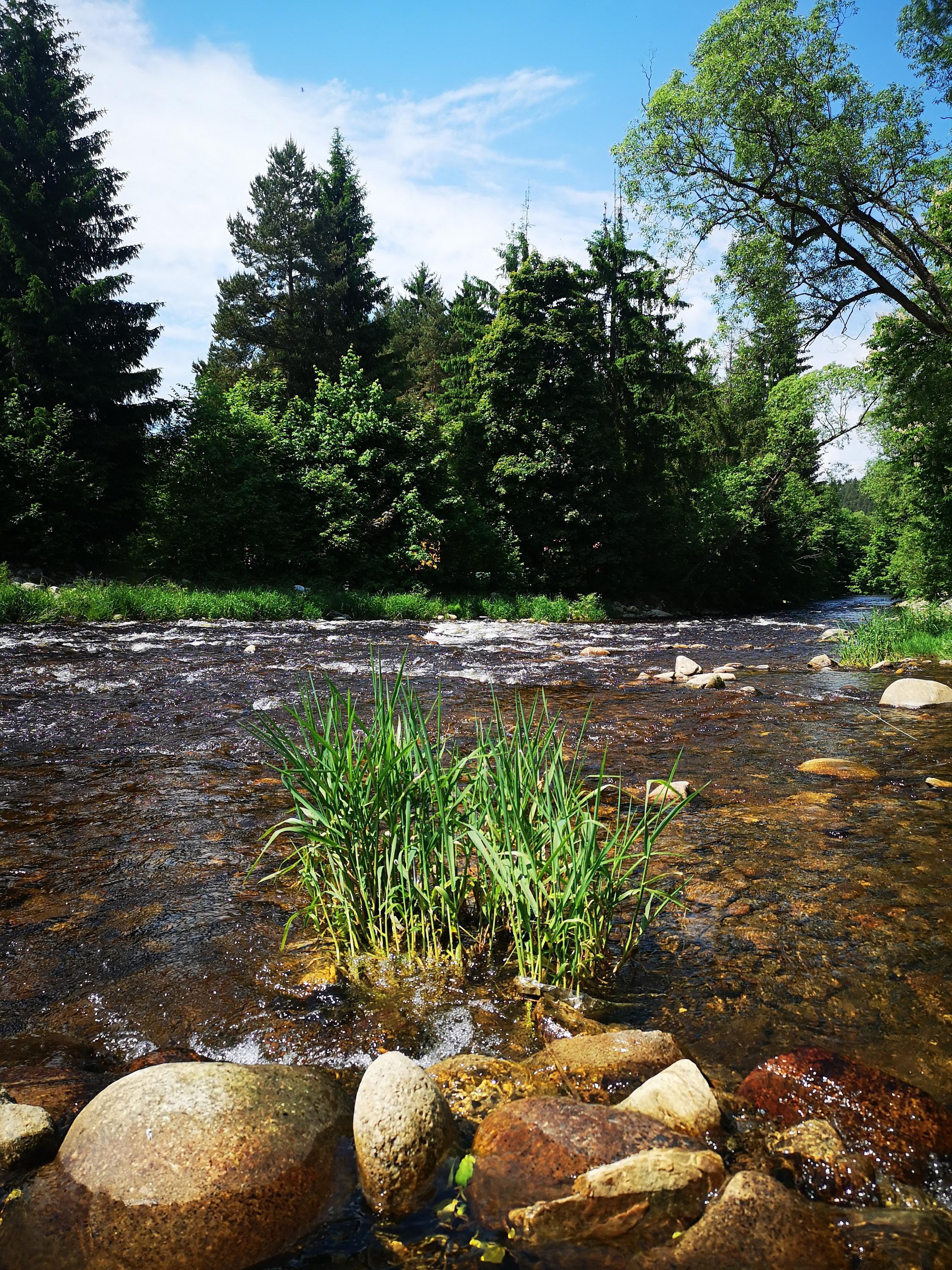 Autocamping Annín I. foto 5