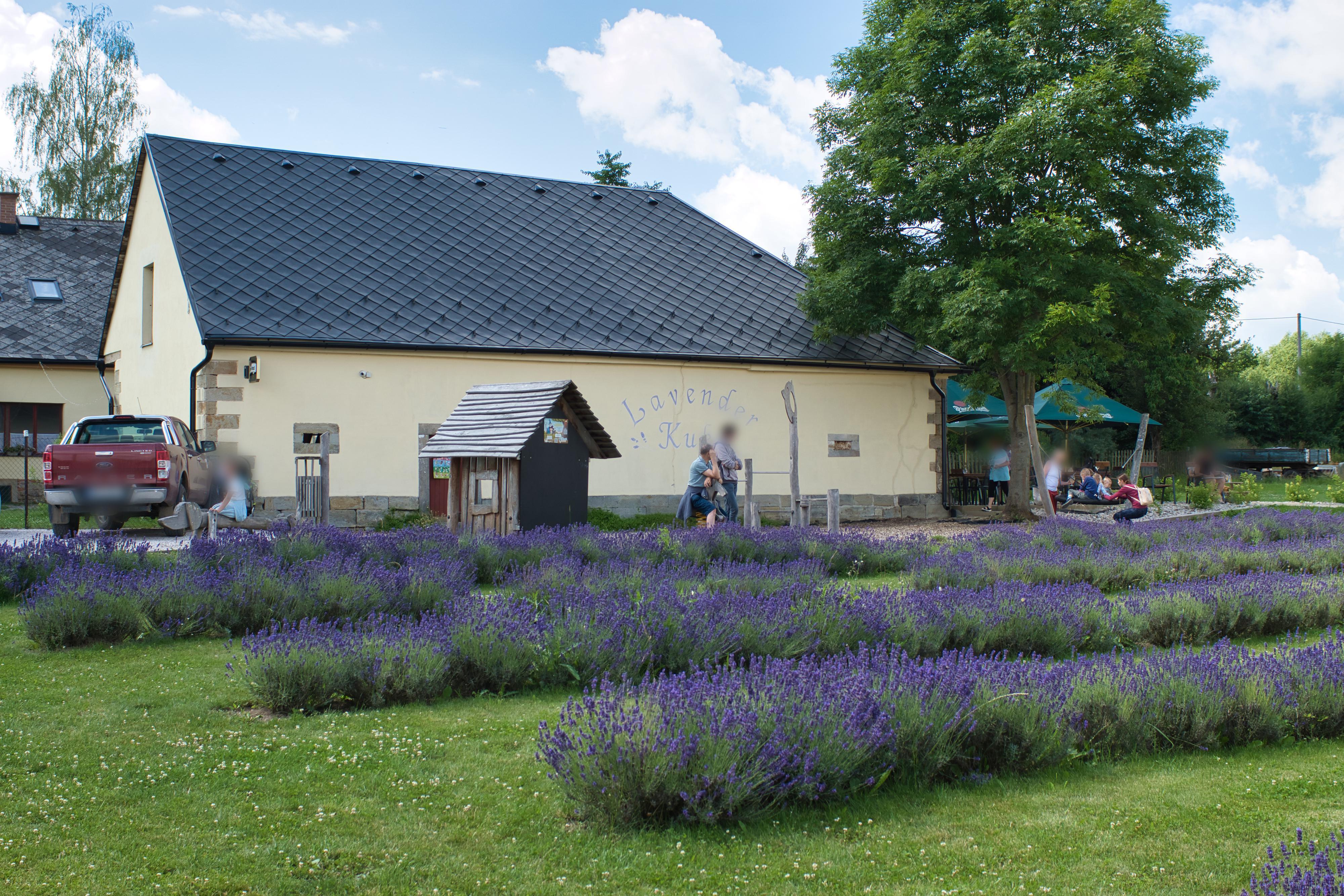 Lavender Kuks foto 2