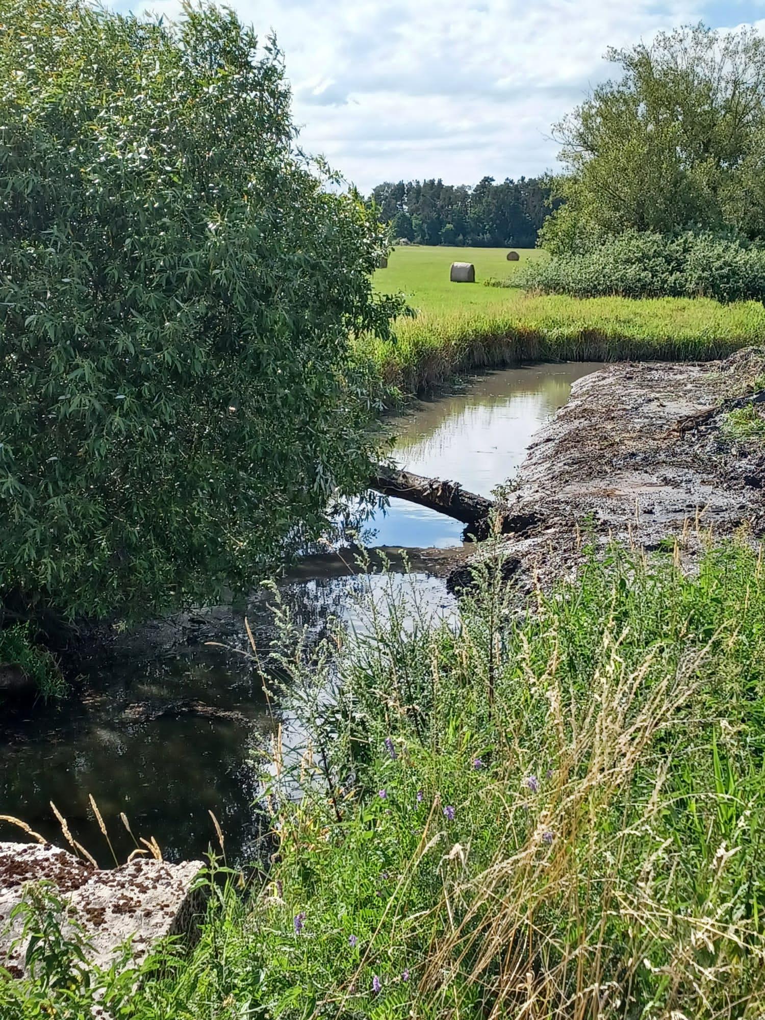 Zemní práce - Vosejpka foto 6