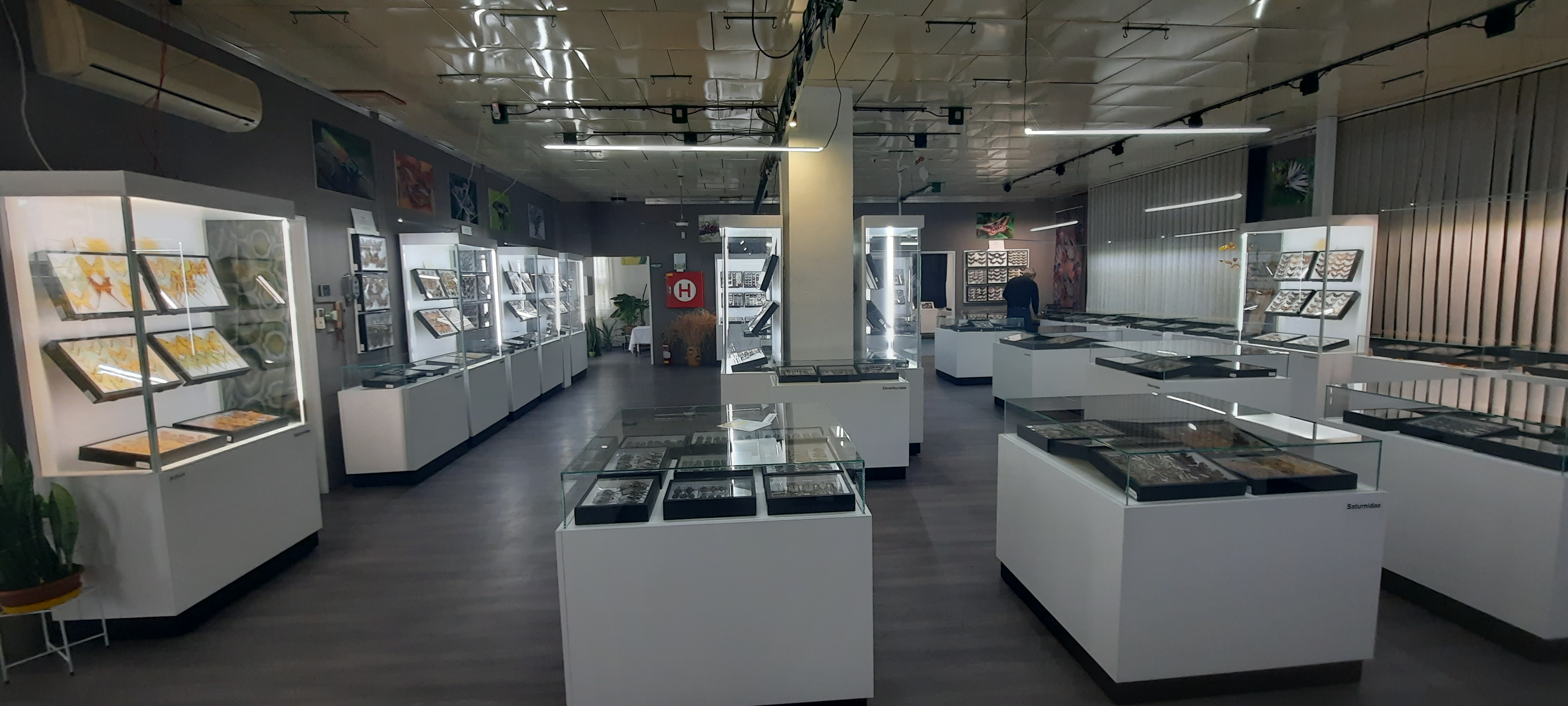 Muzeum motýlů a brouků Hlinsko foto 2