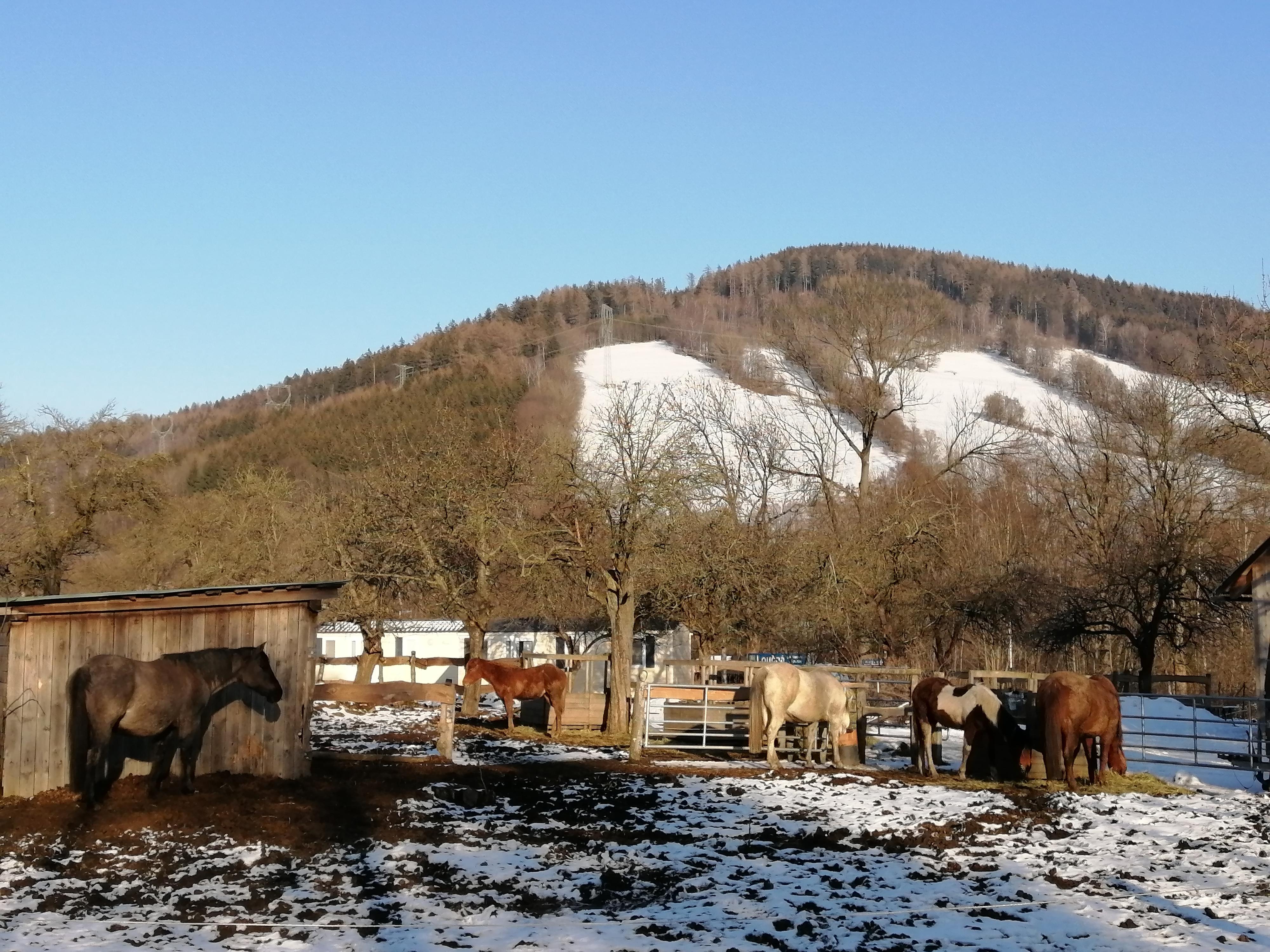 Ranč Mustang foto 4