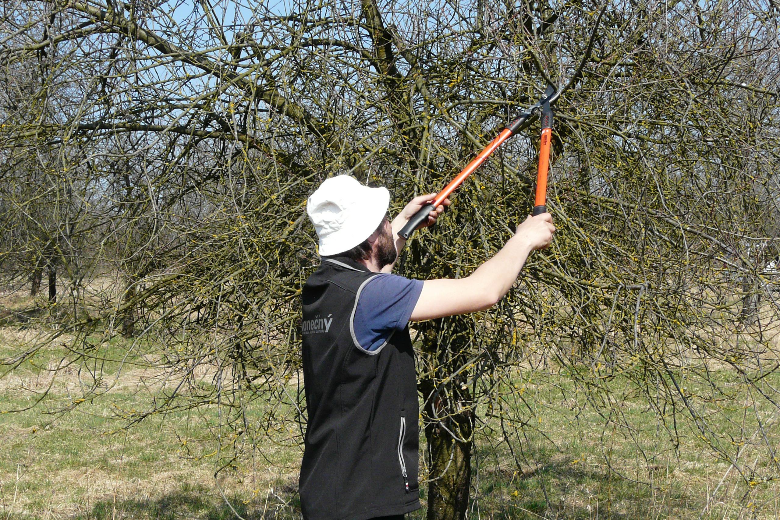Stanislav Konečný - služby pro dům a zahradu
