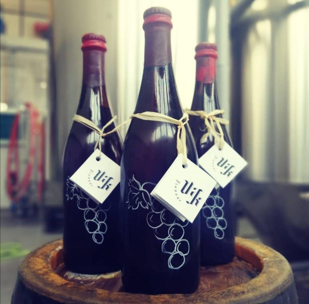 Vik Brewery foto 6