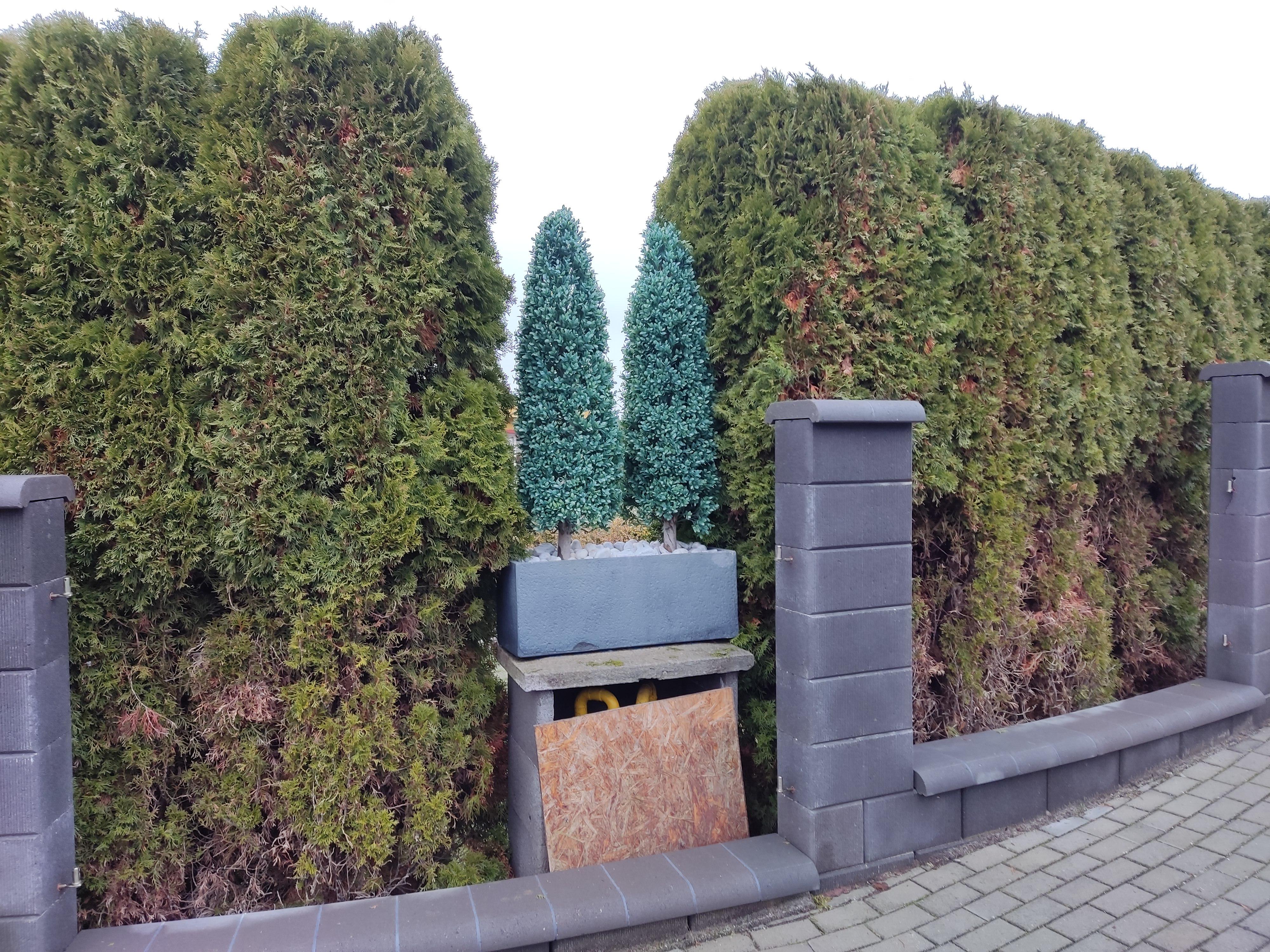 Tilia apartments Březová foto 2