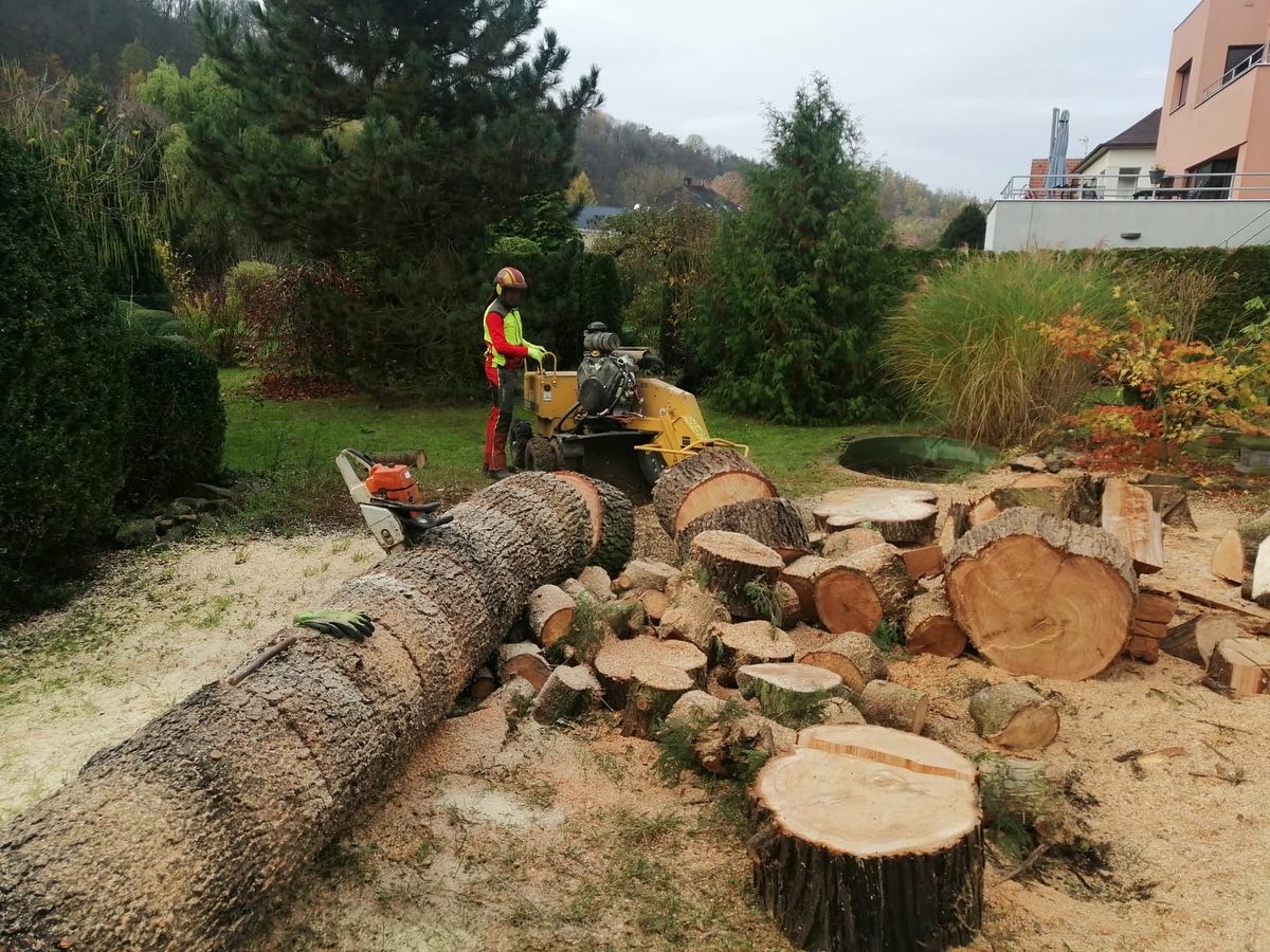 Timber PRO s.r.o. - Zdeněk Bílek foto 3