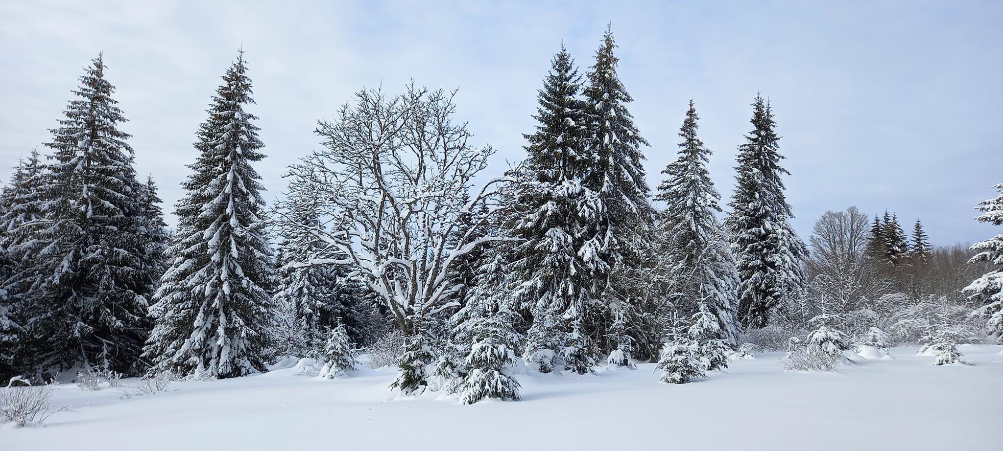 Apartmán Strážný foto 5