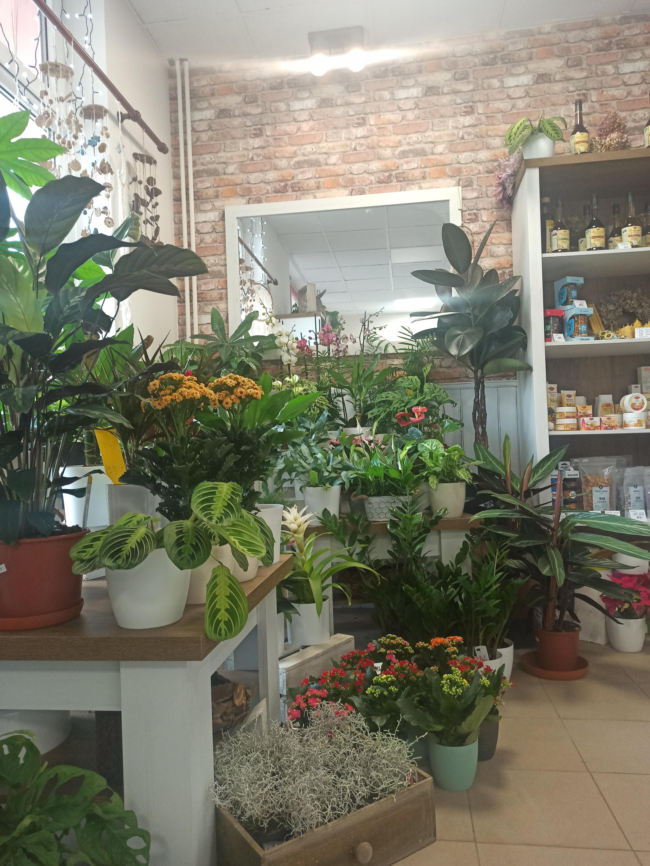 Kvítí od Zuzky foto 3