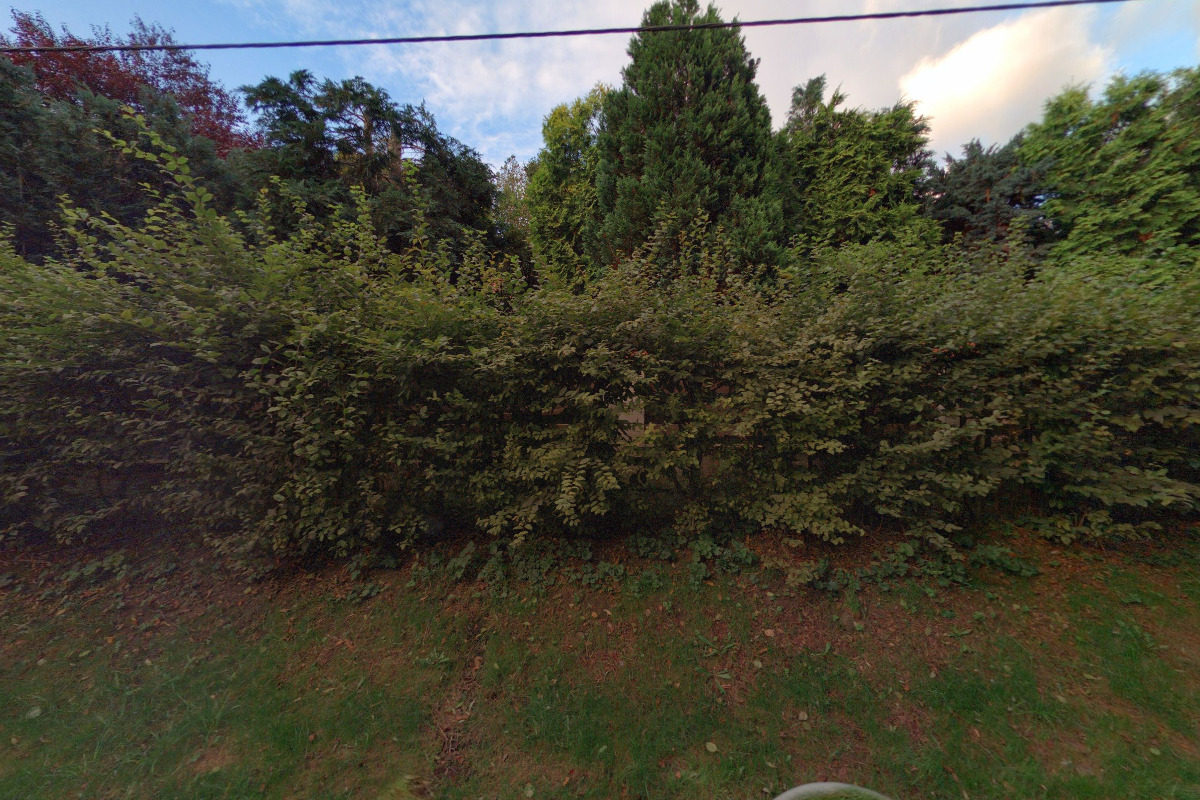 Jan Šesták - muzikoterapie