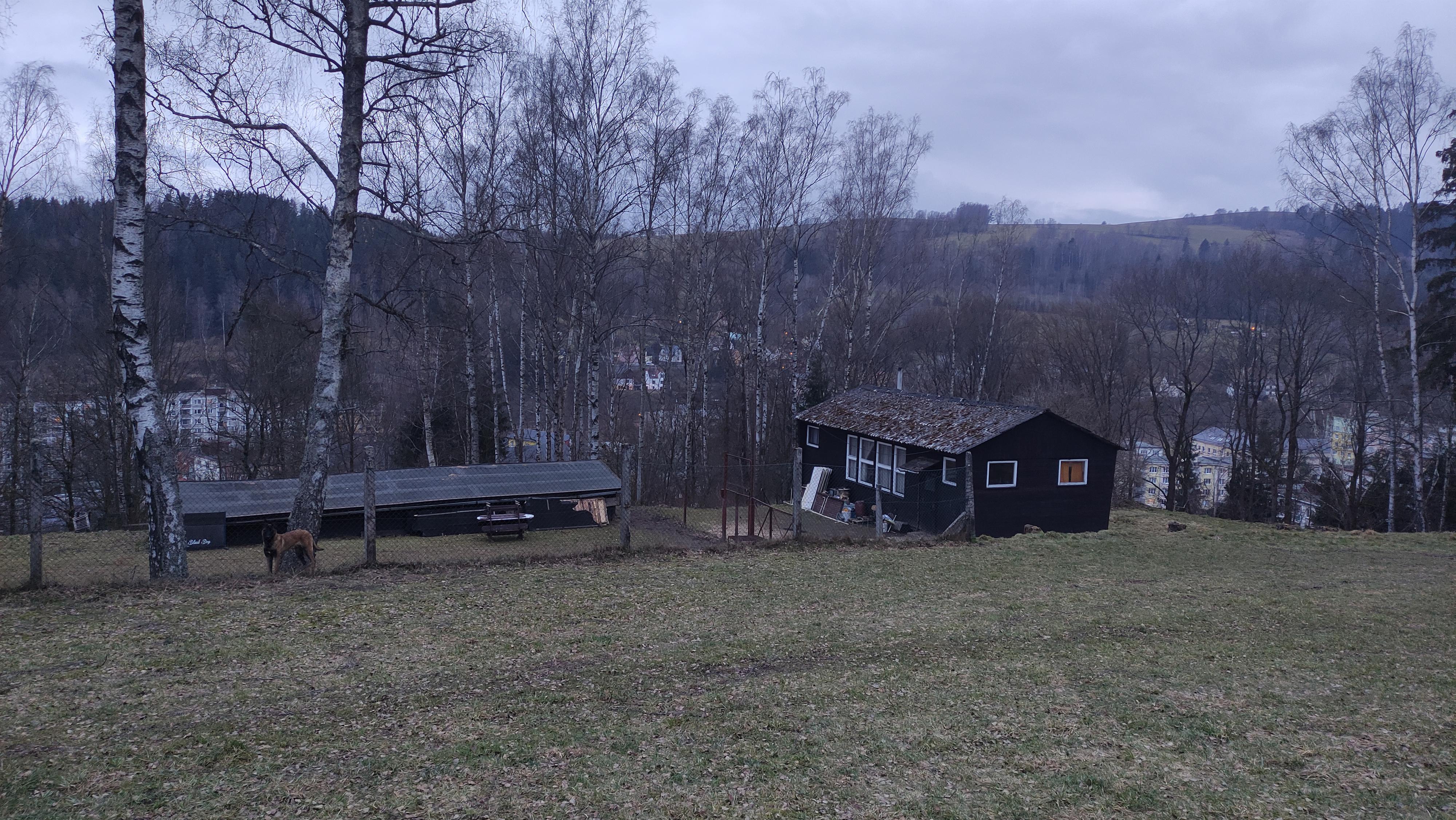 Český kynologický svaz ZKO Kraslice - 297 foto 2