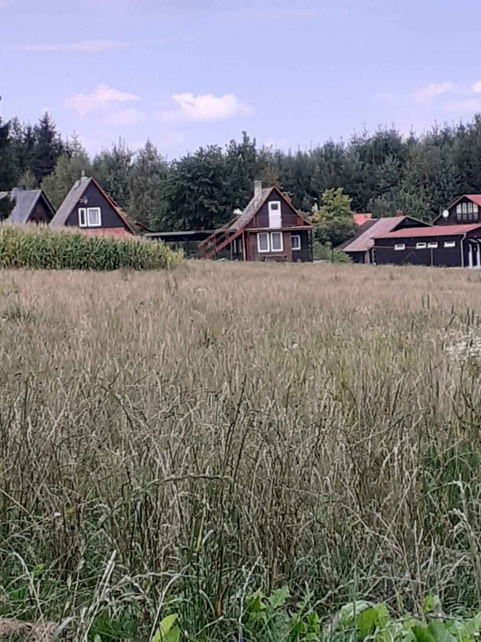 Letní areál Špinka - Hornická foto 2