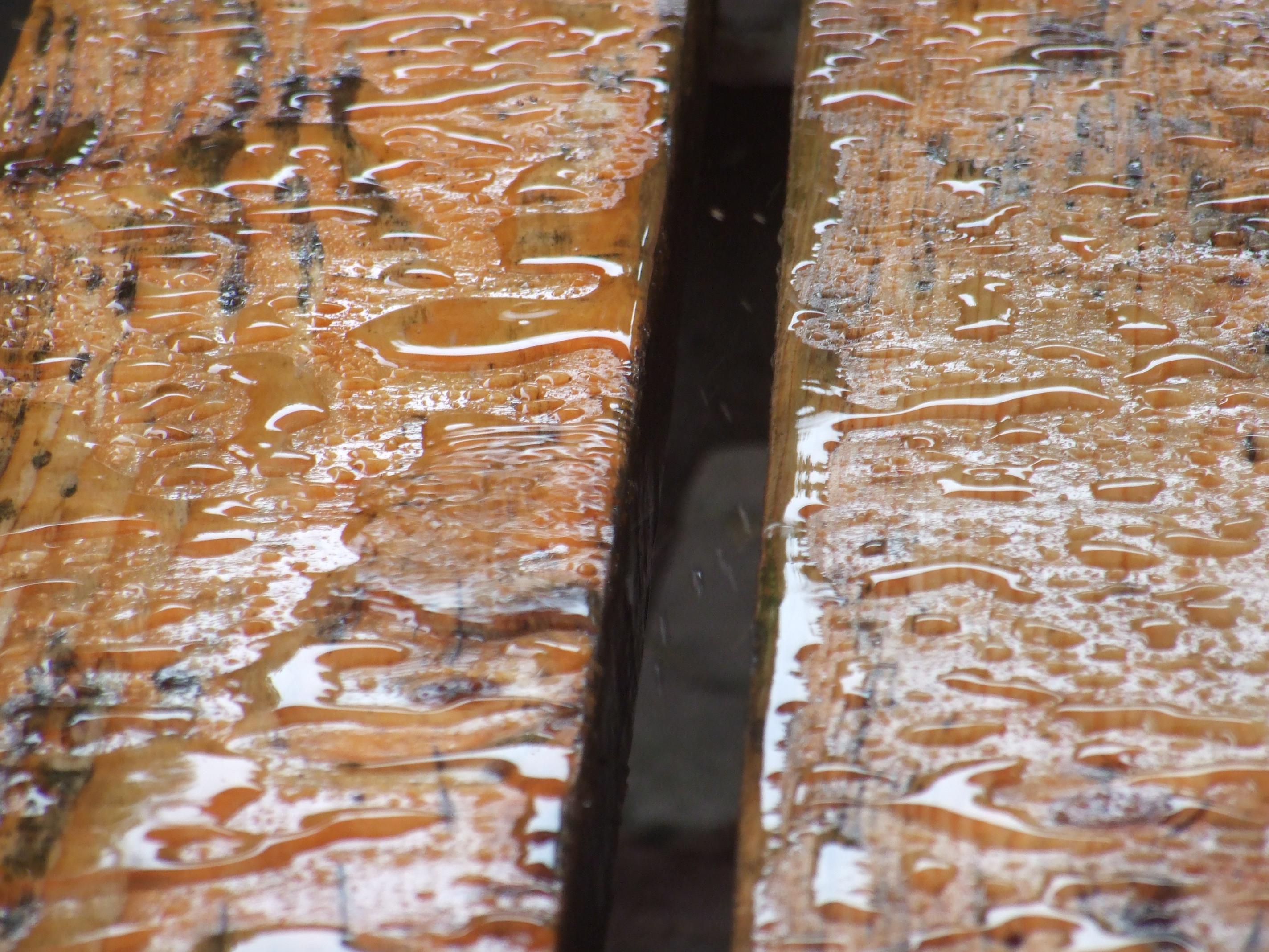 Hospůdka U Voraře foto 4