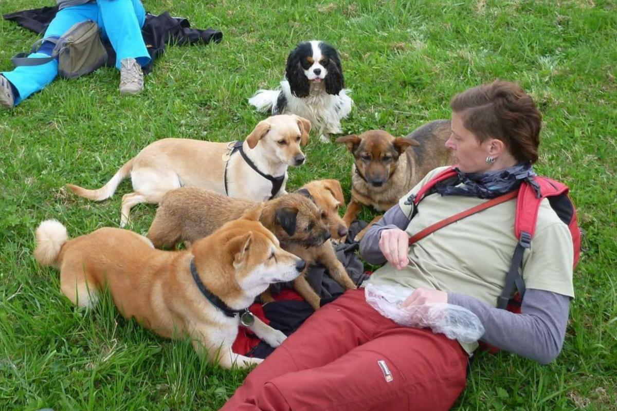 Iveta Kutková - výcvik psů, agility