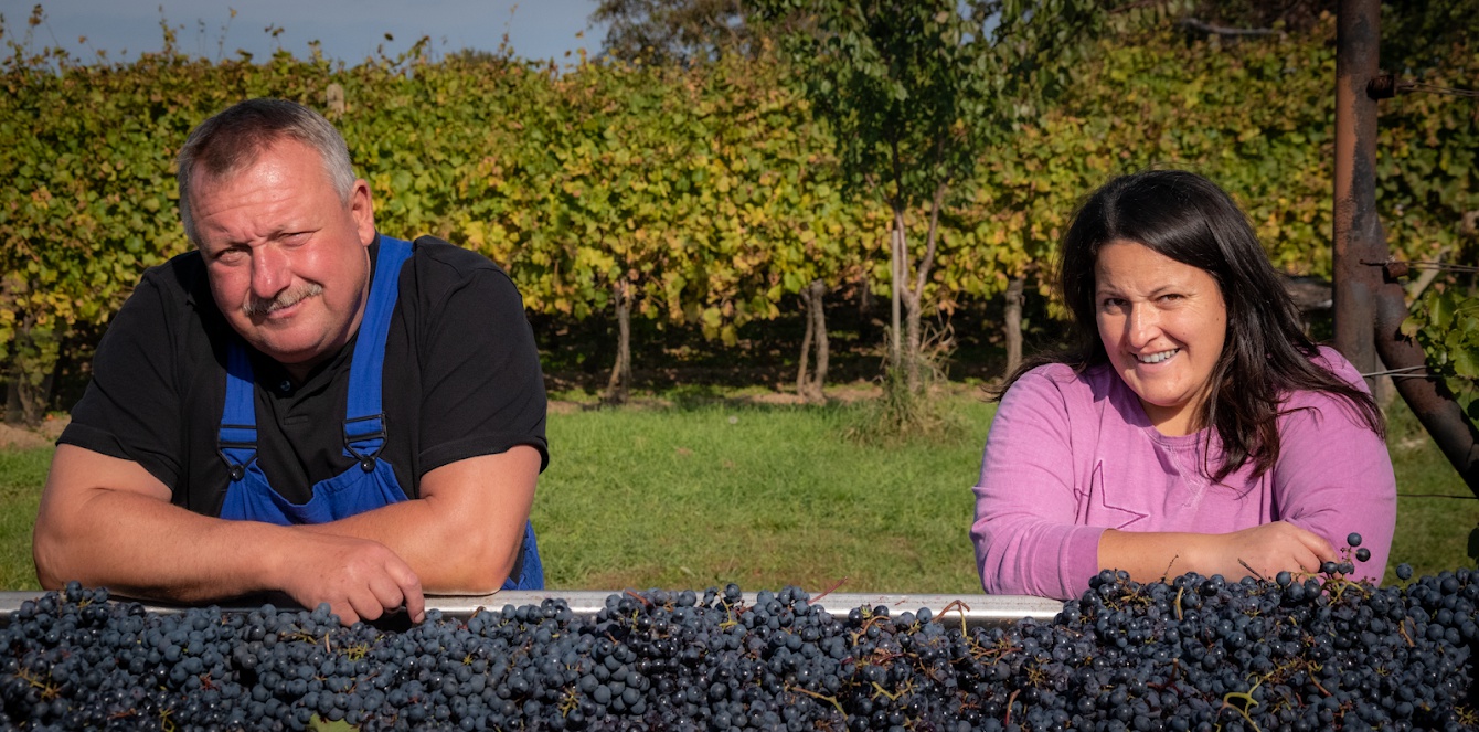 Vinařství Tomanovi - Vinný sklep foto 5