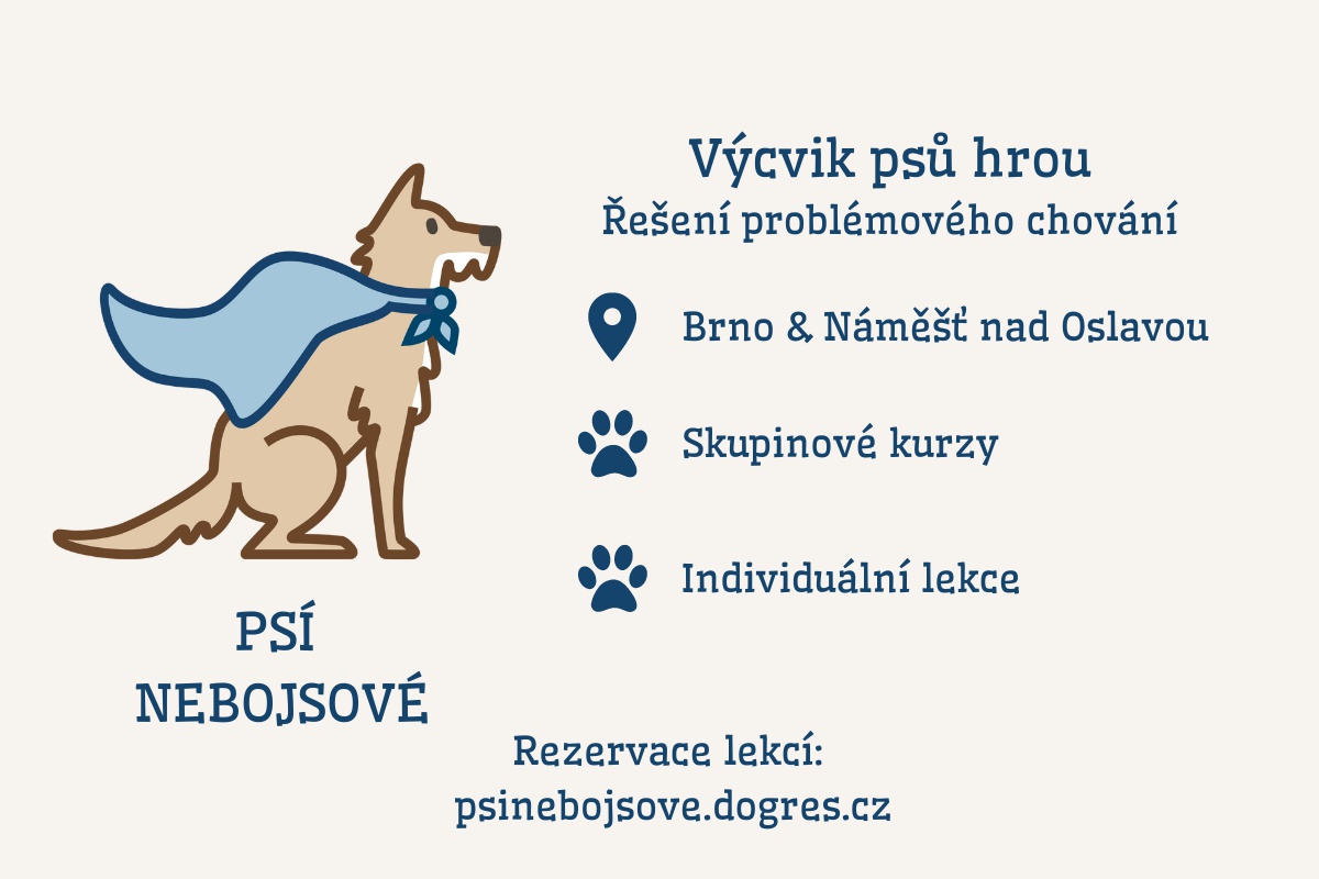 Psí nebojsové MVDr. Markéta Rybářová foto 2