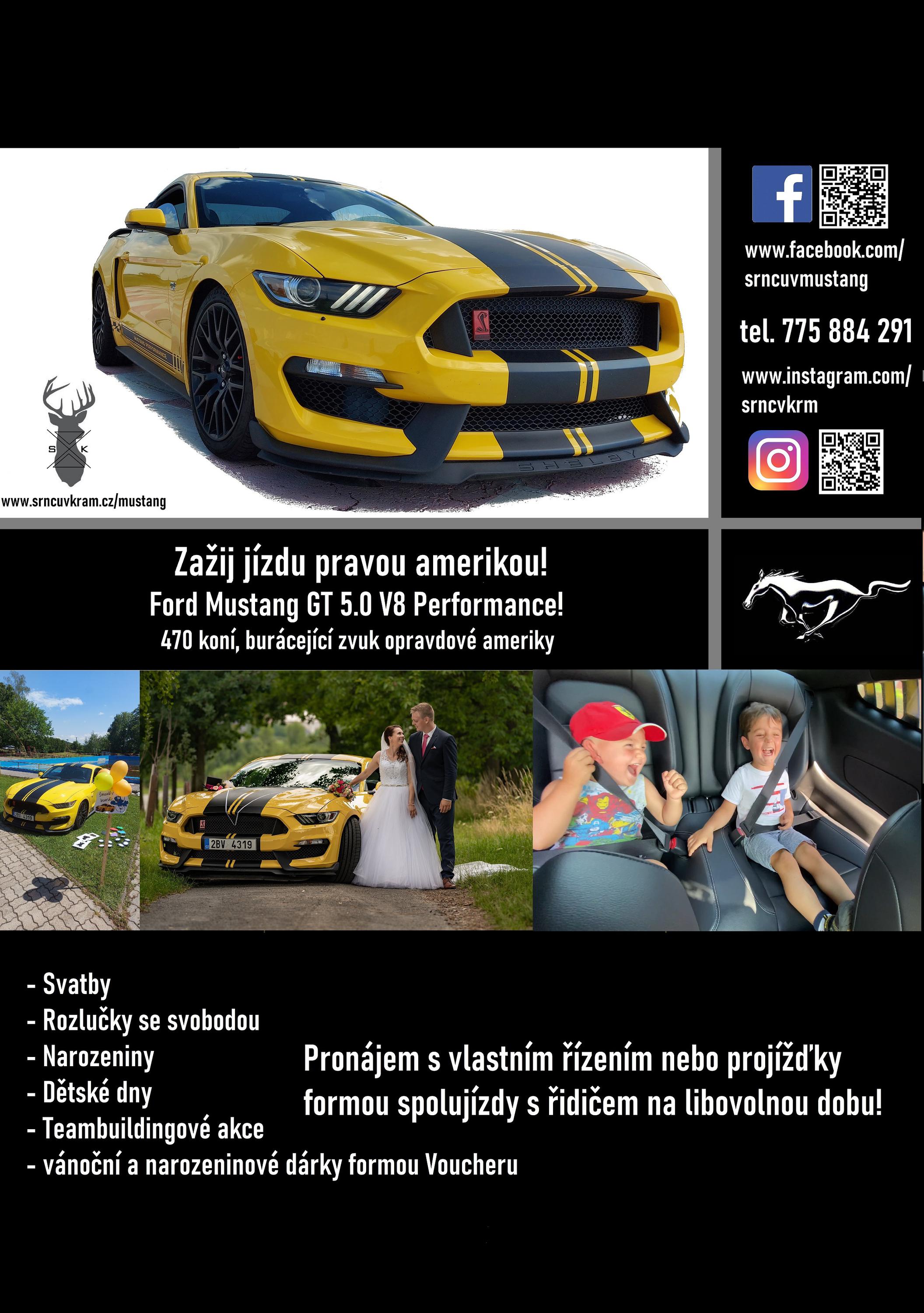Srncův Mustang foto 2