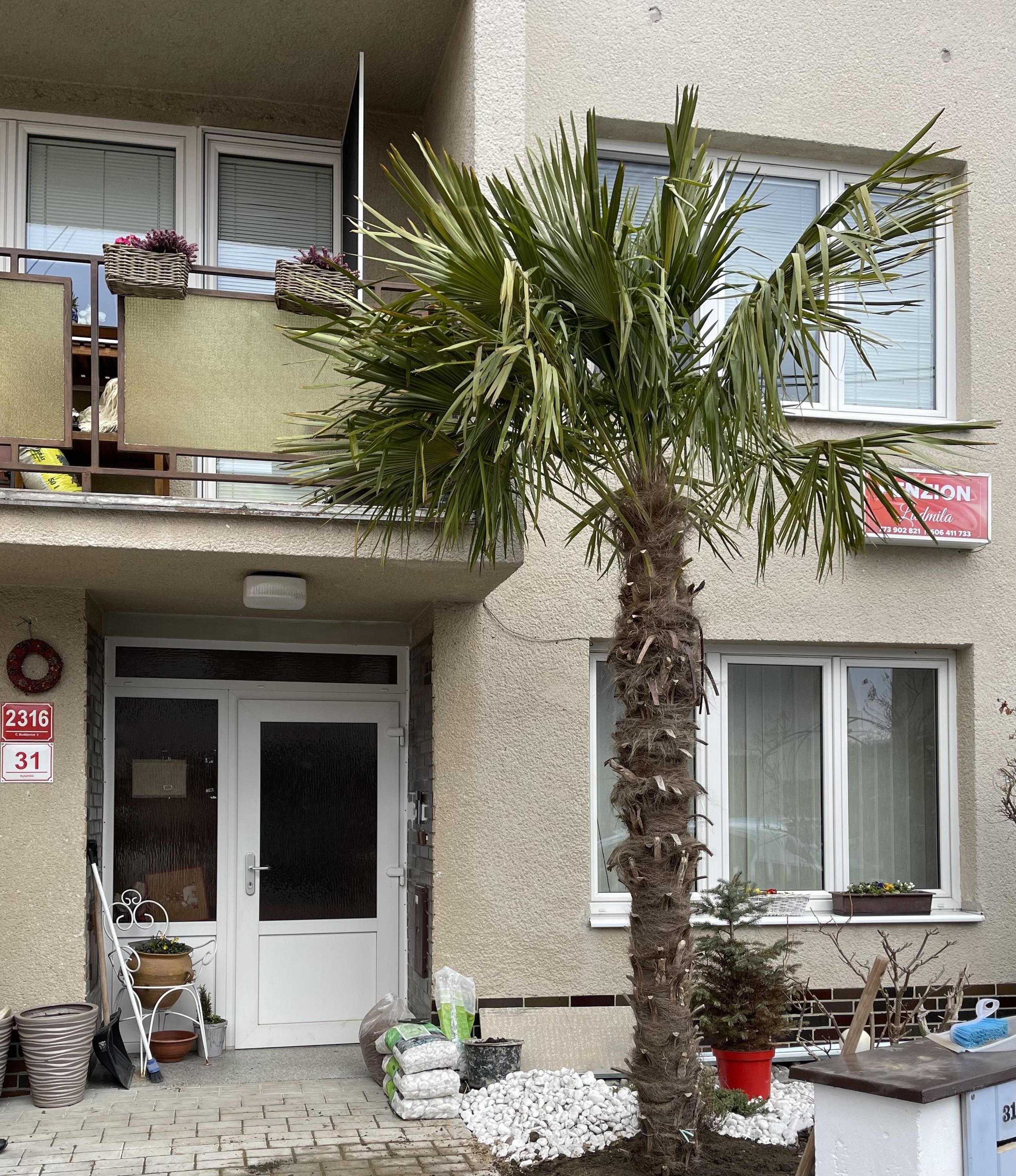 Penzion Ludmila foto 2