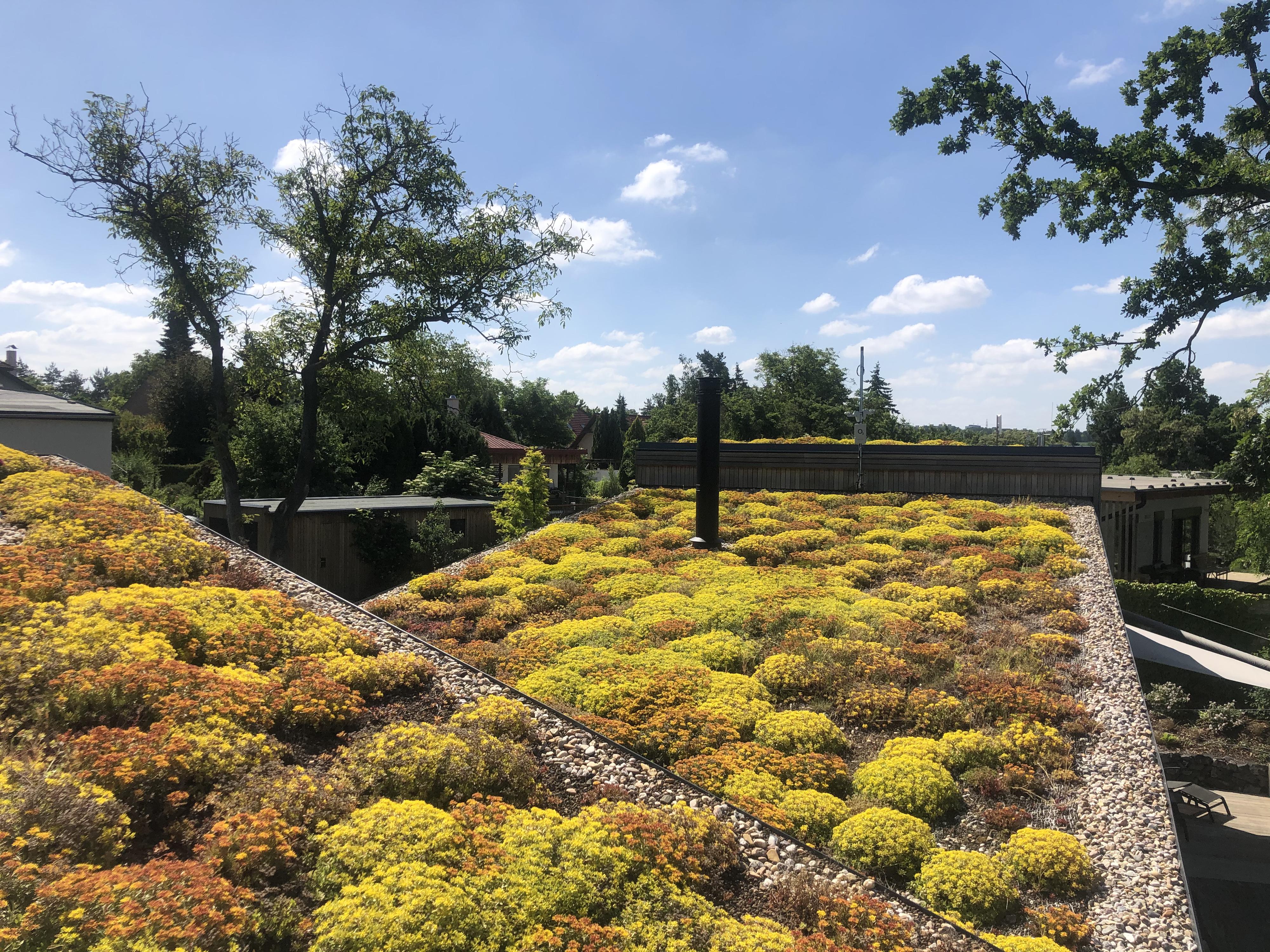 GreenVille - zelené střechy foto 2