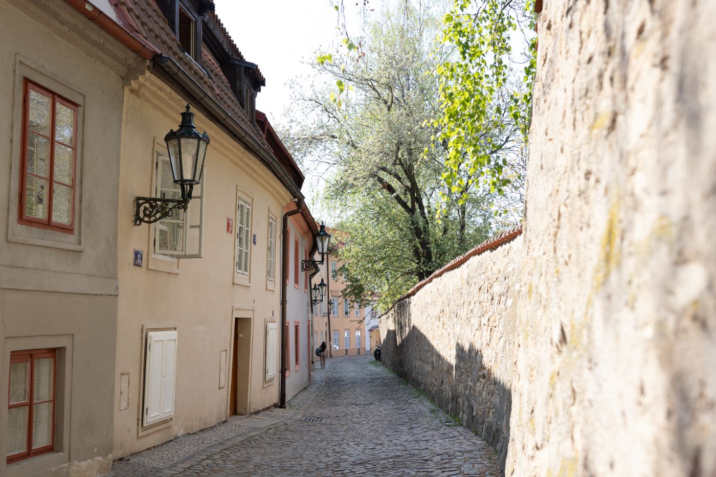 VINOBONA Chef's Table restaurant & Wine foto 3