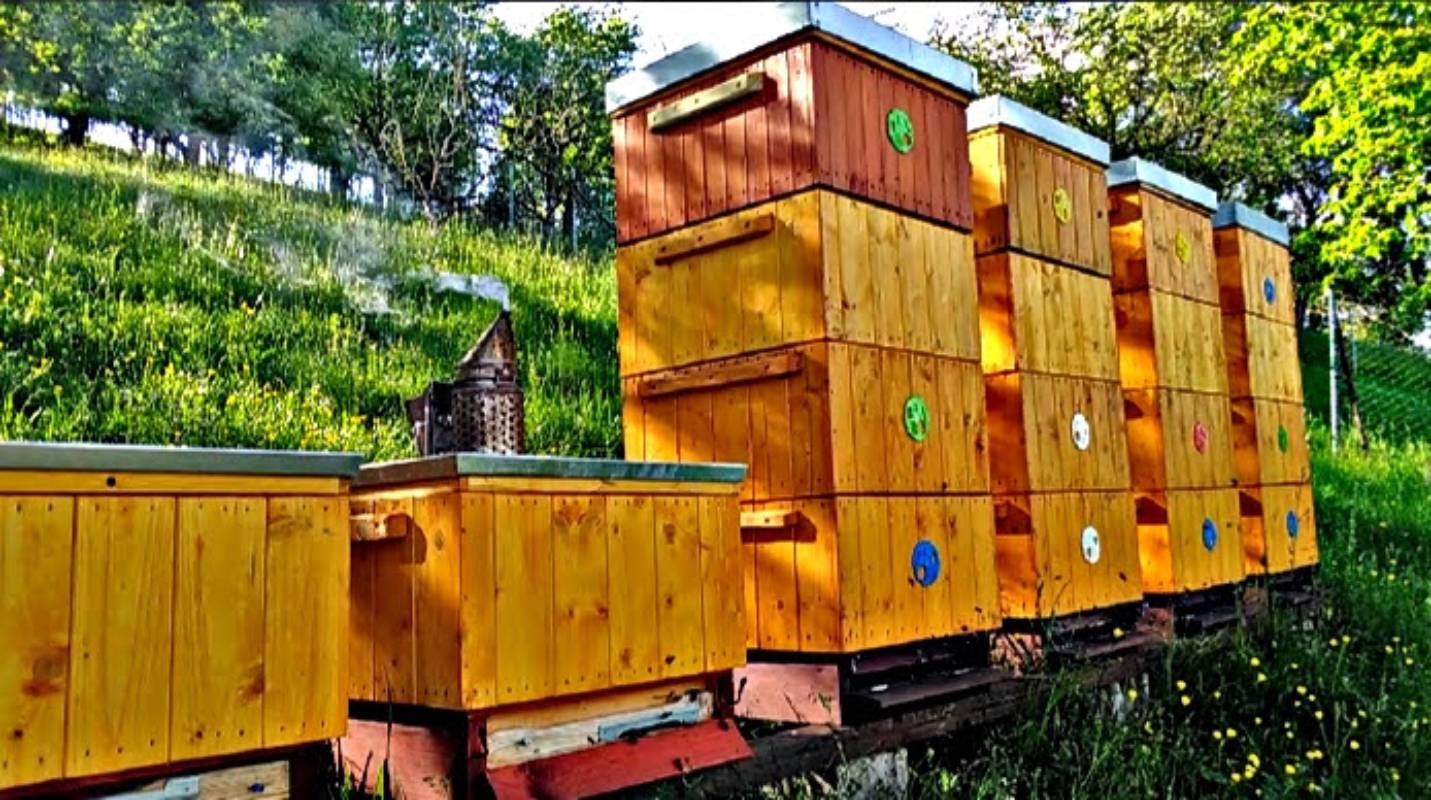 ČESKÝ MED - prodej ze dvora